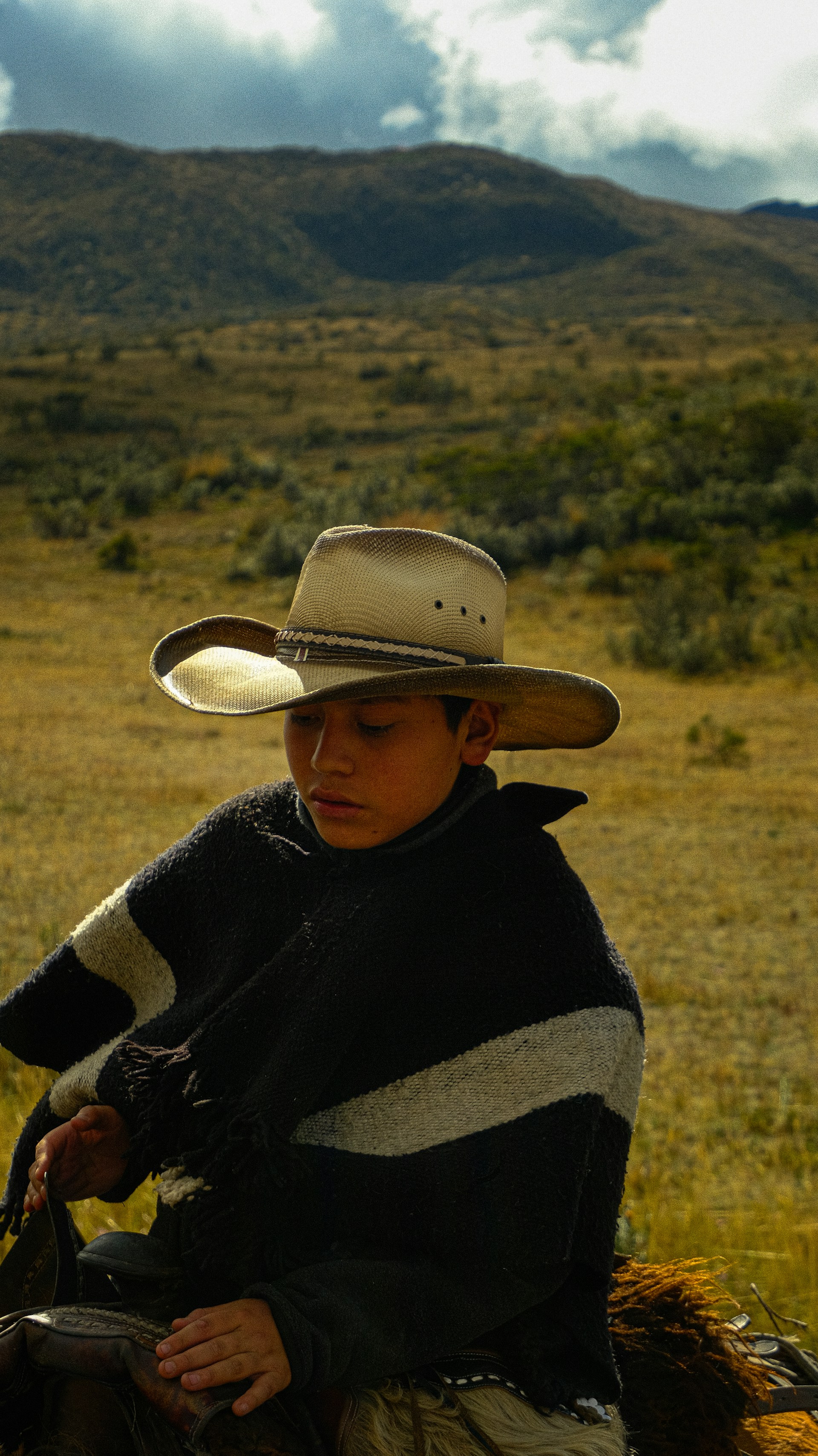 A man riding on the back of a brown horse