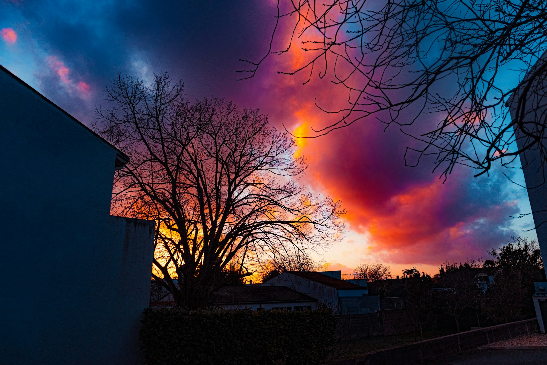 A colorful sky with clouds and trees in the foreground