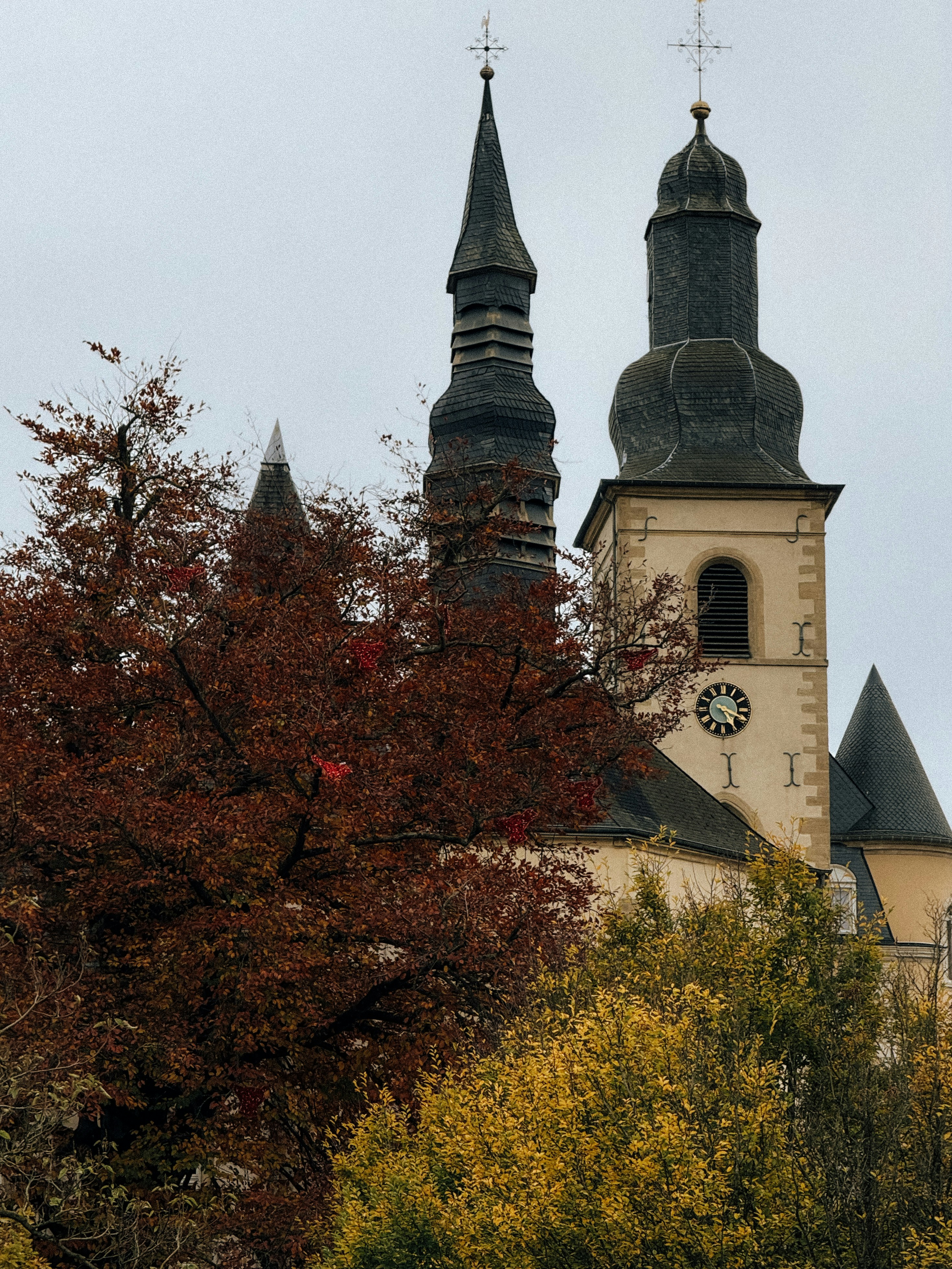 Photo by zvada_photo