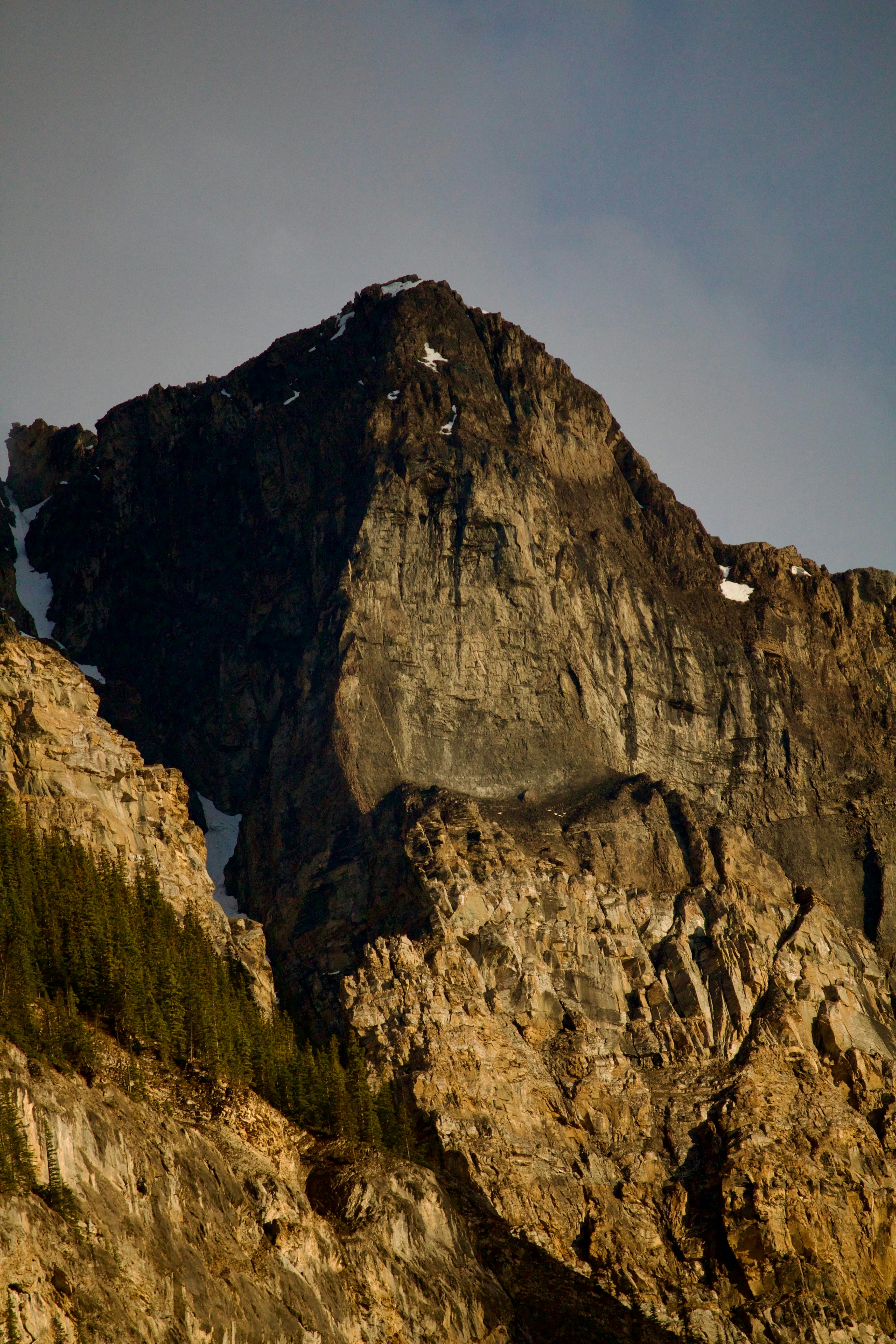 Photo by tog_photography