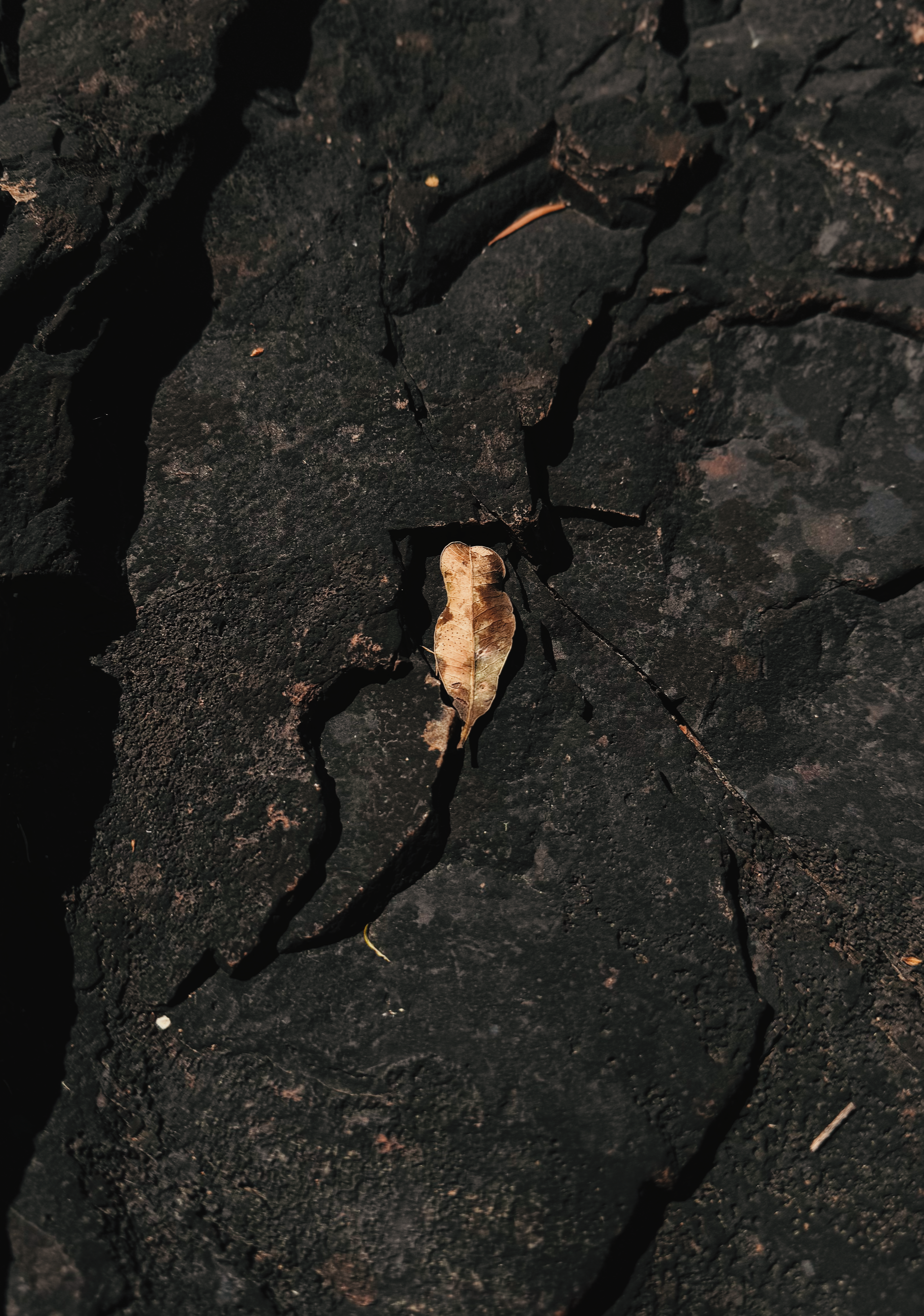 Photo by andreicastanha