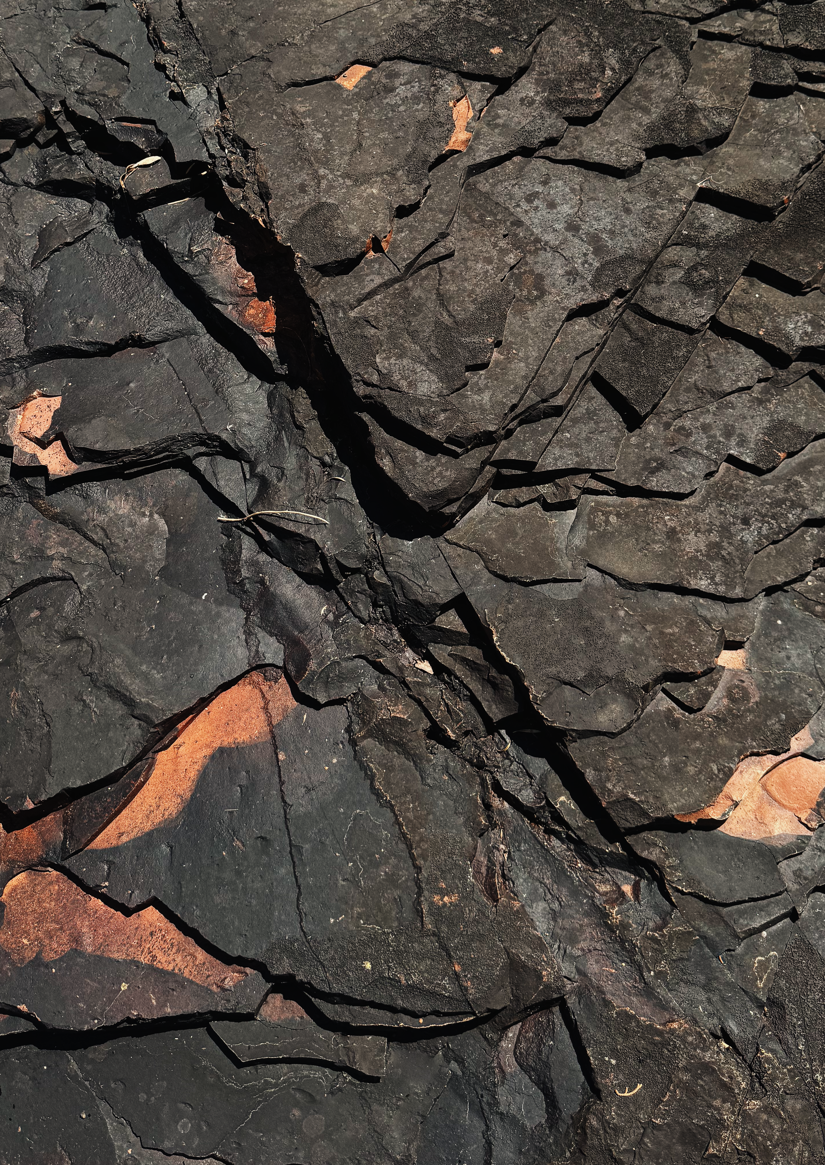 Photo by andreicastanha