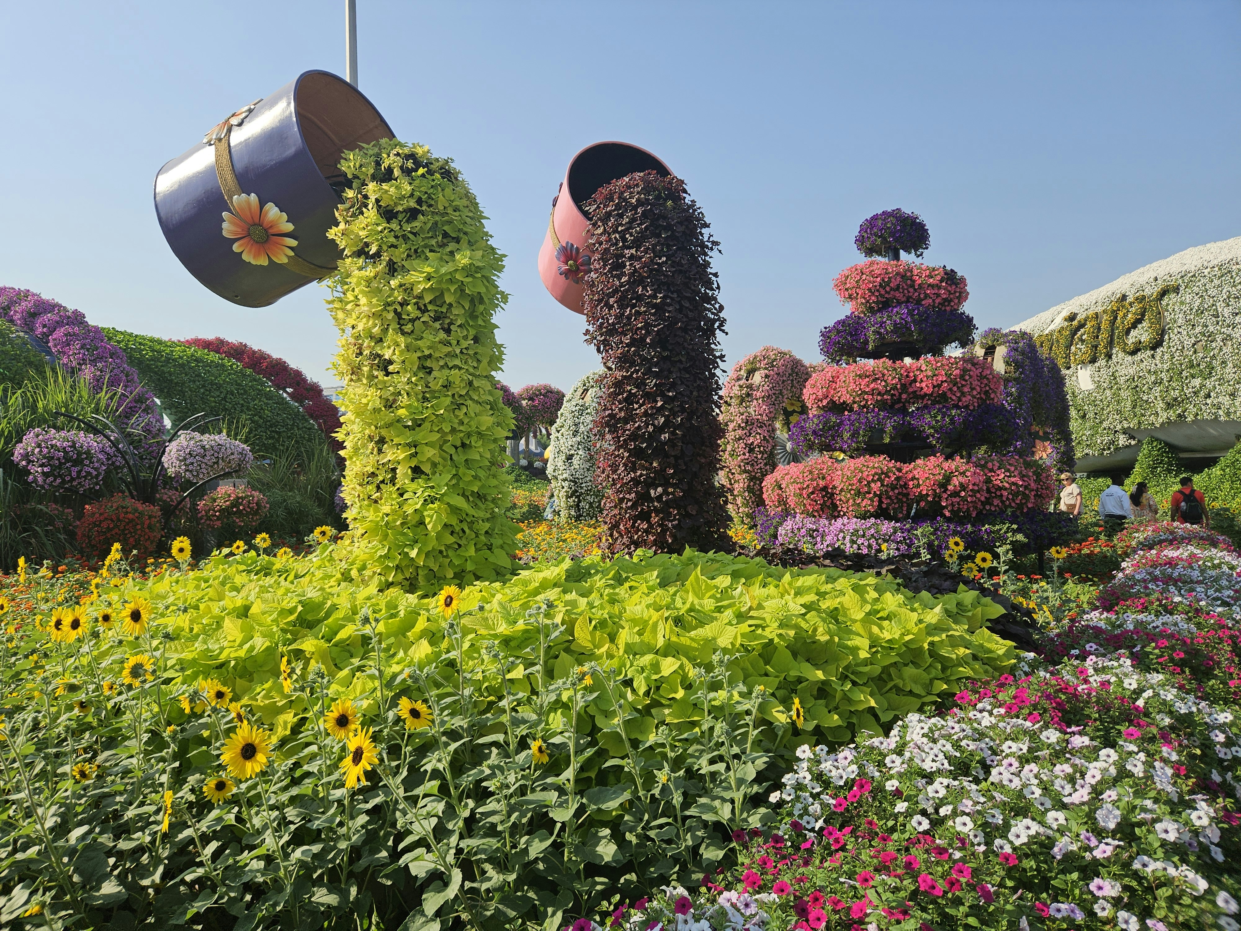 A garden with a number of flowers and plants