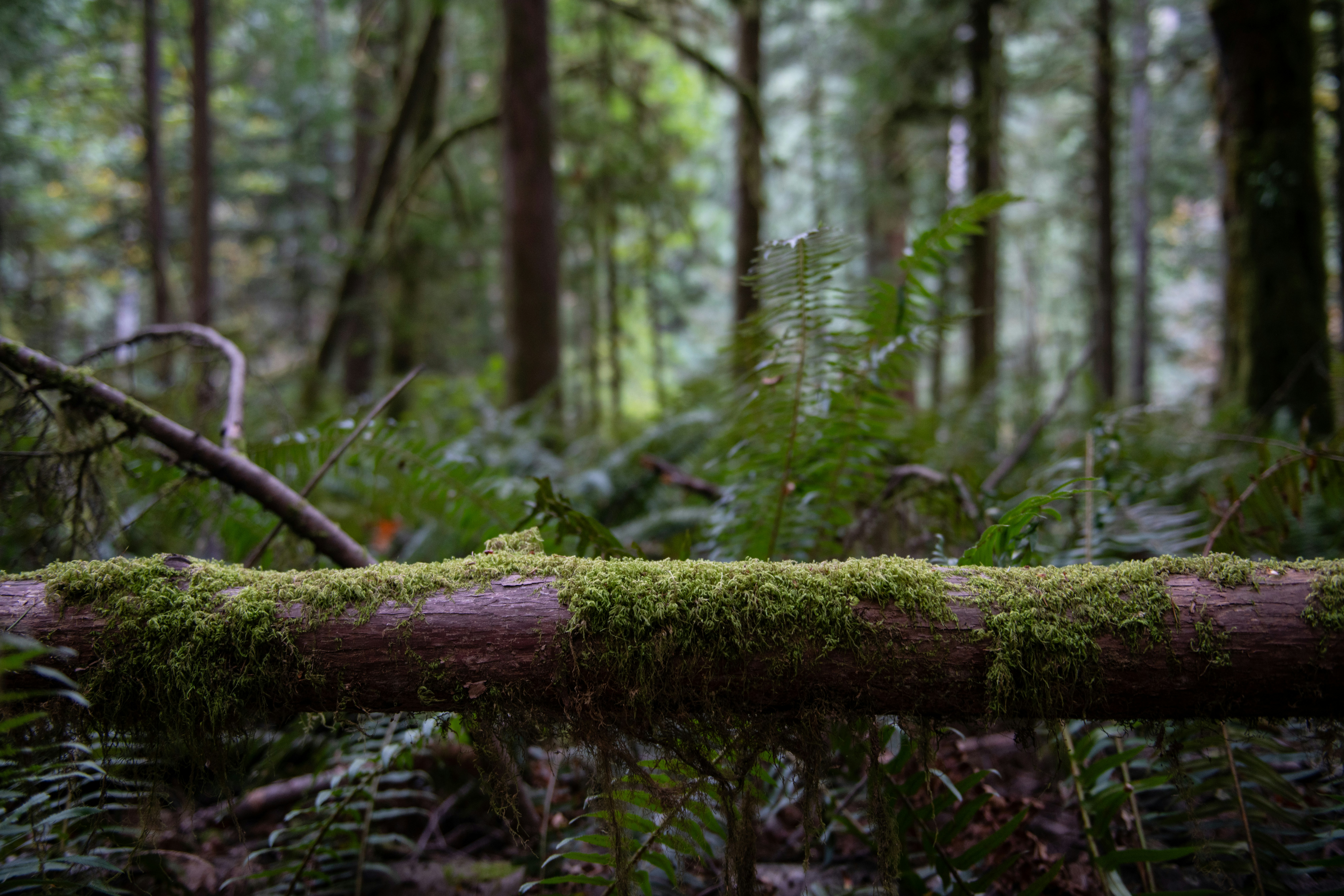 Photo by hlandkammer