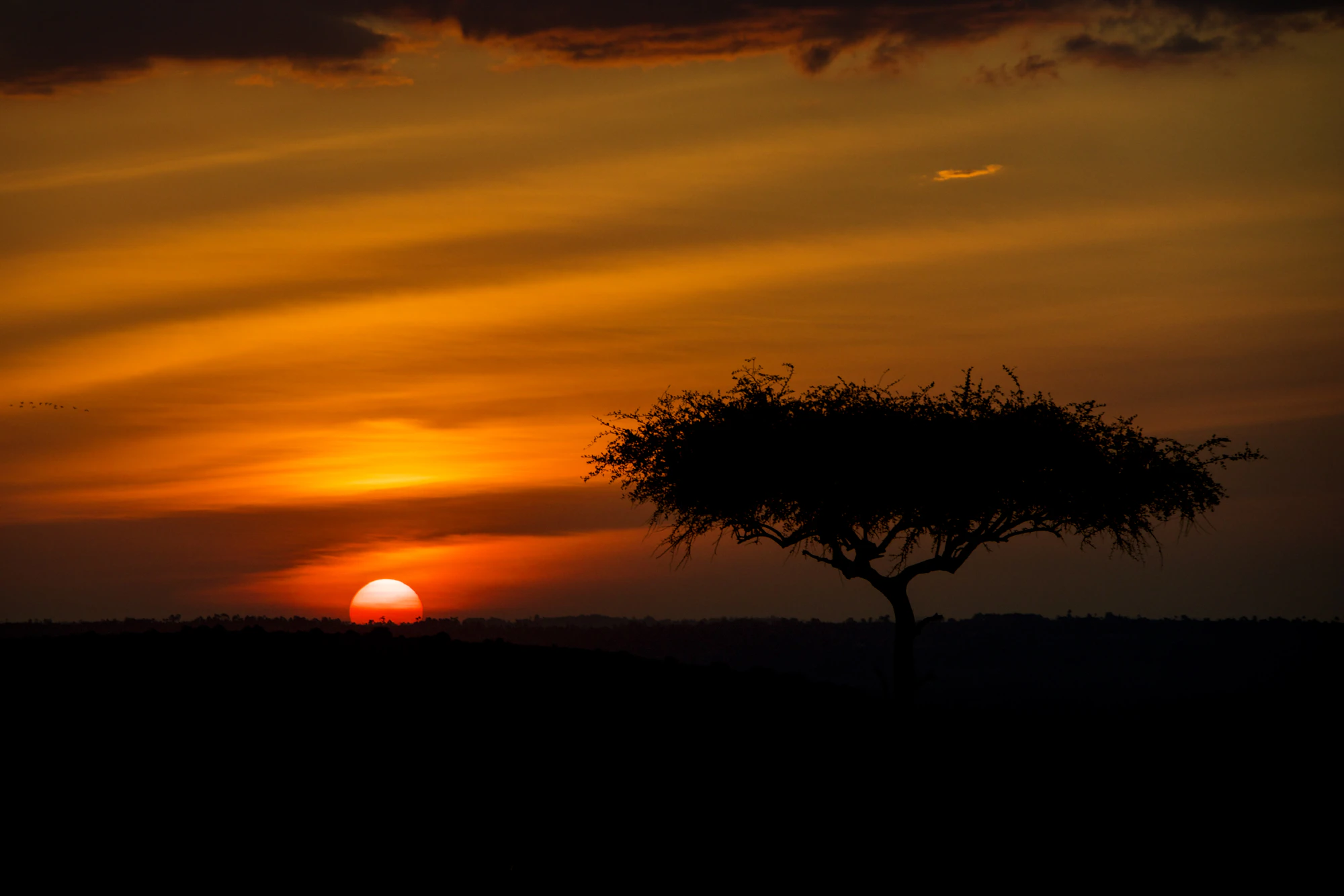 Dawn over the Maasai Mara