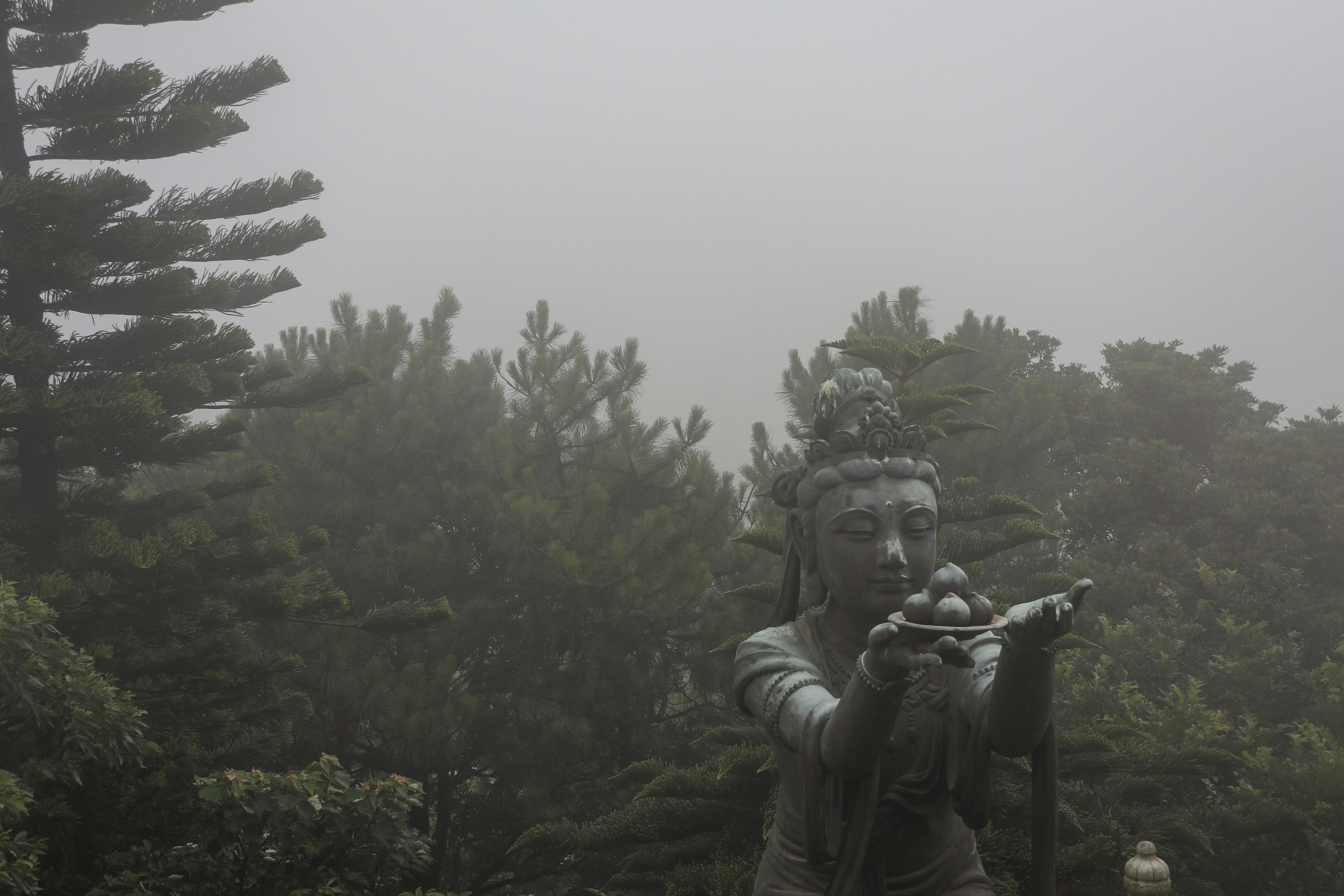 A statue of a man holding a bird on a foggy day