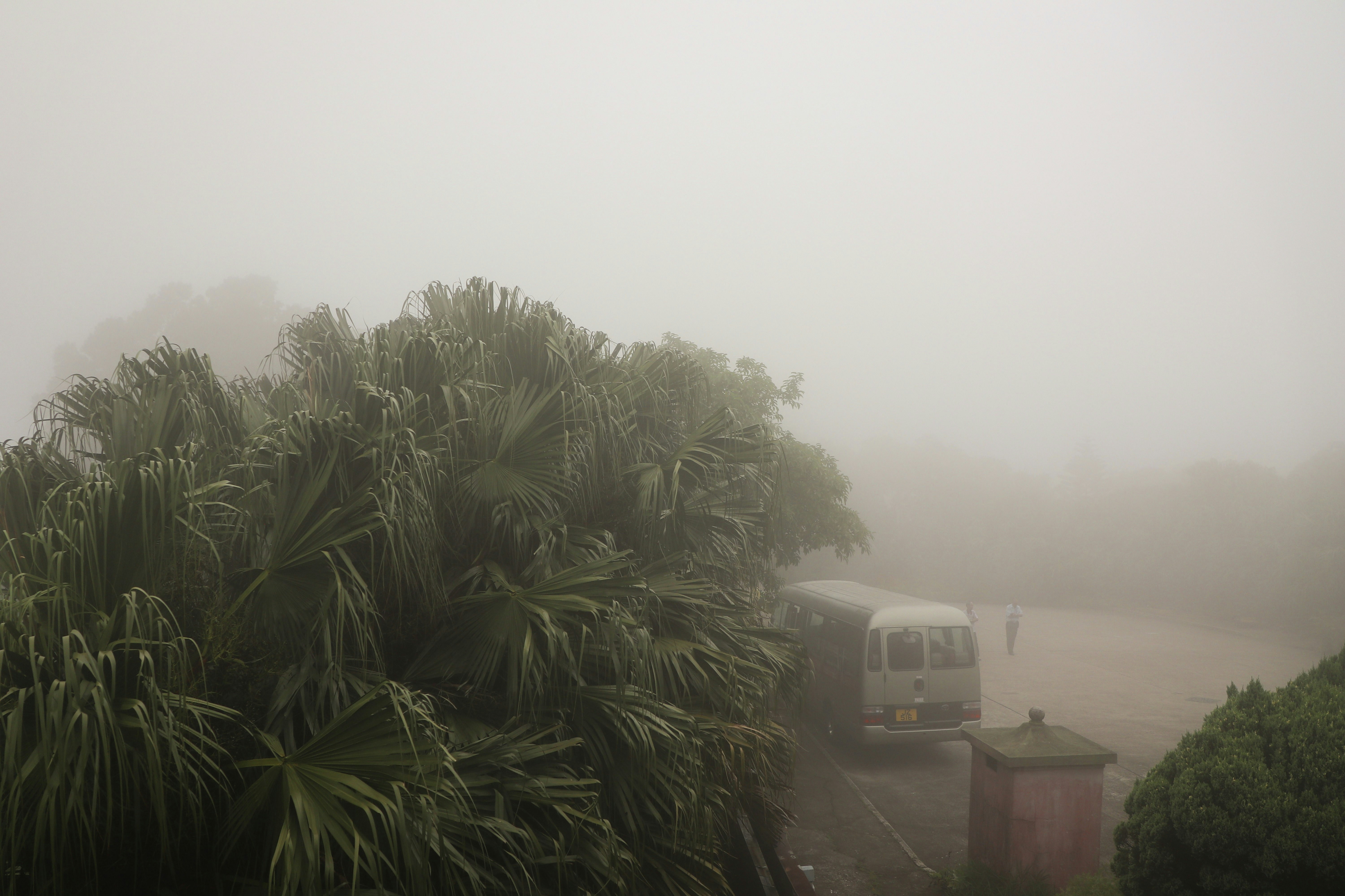 A truck driving down a road on a foggy day