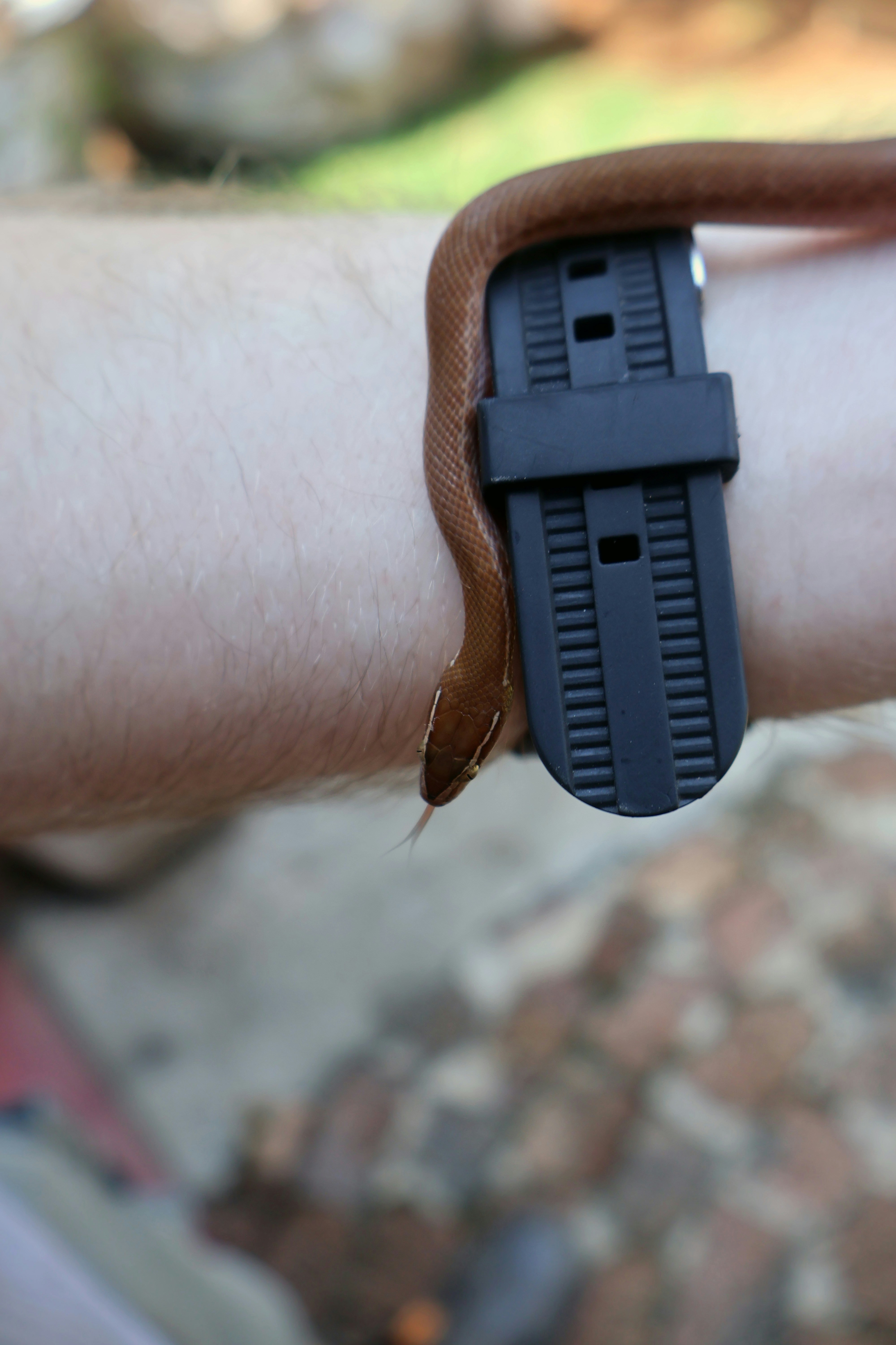 Eine Person, die eine Uhr am Arm trägt