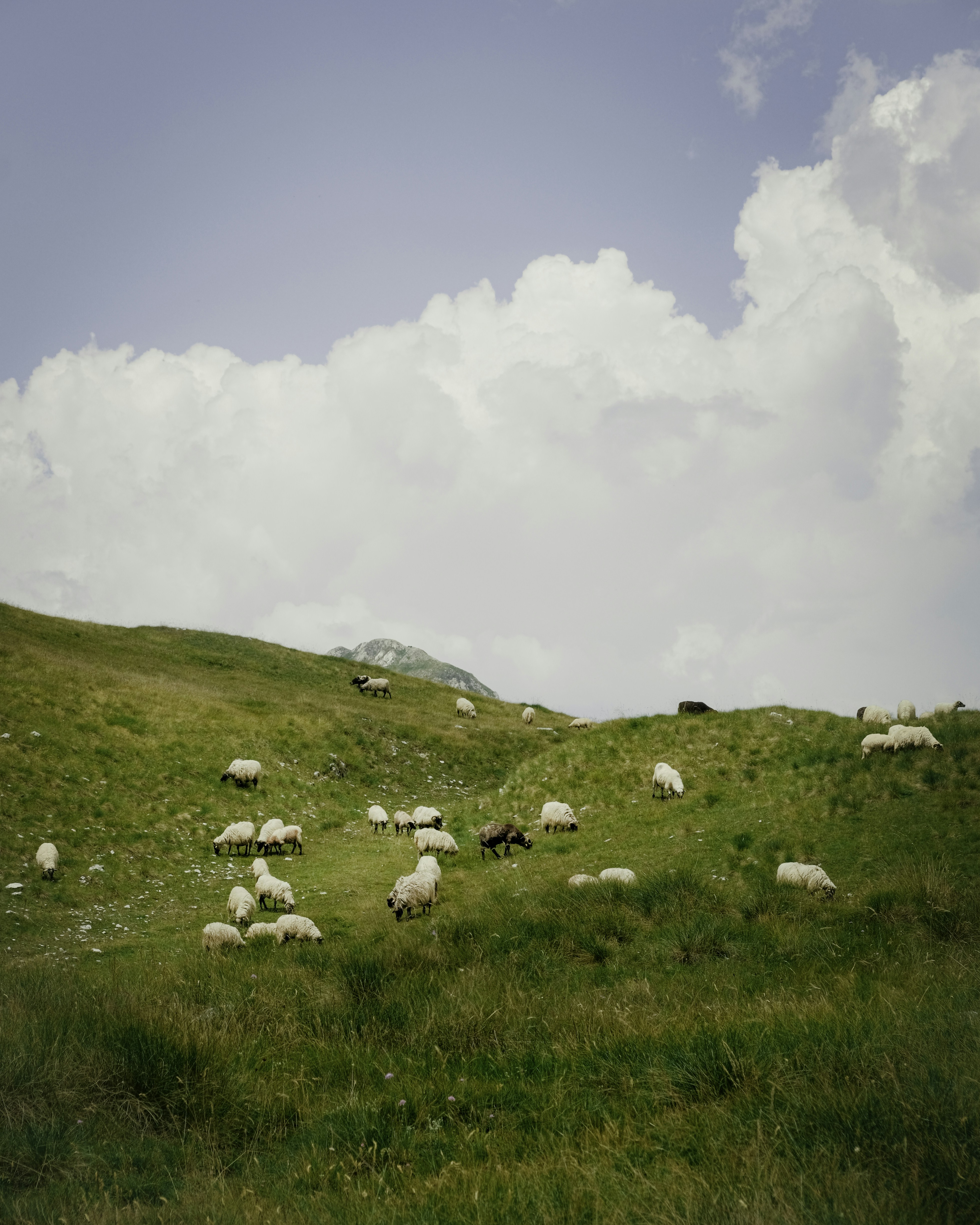 Photo by marishphoto