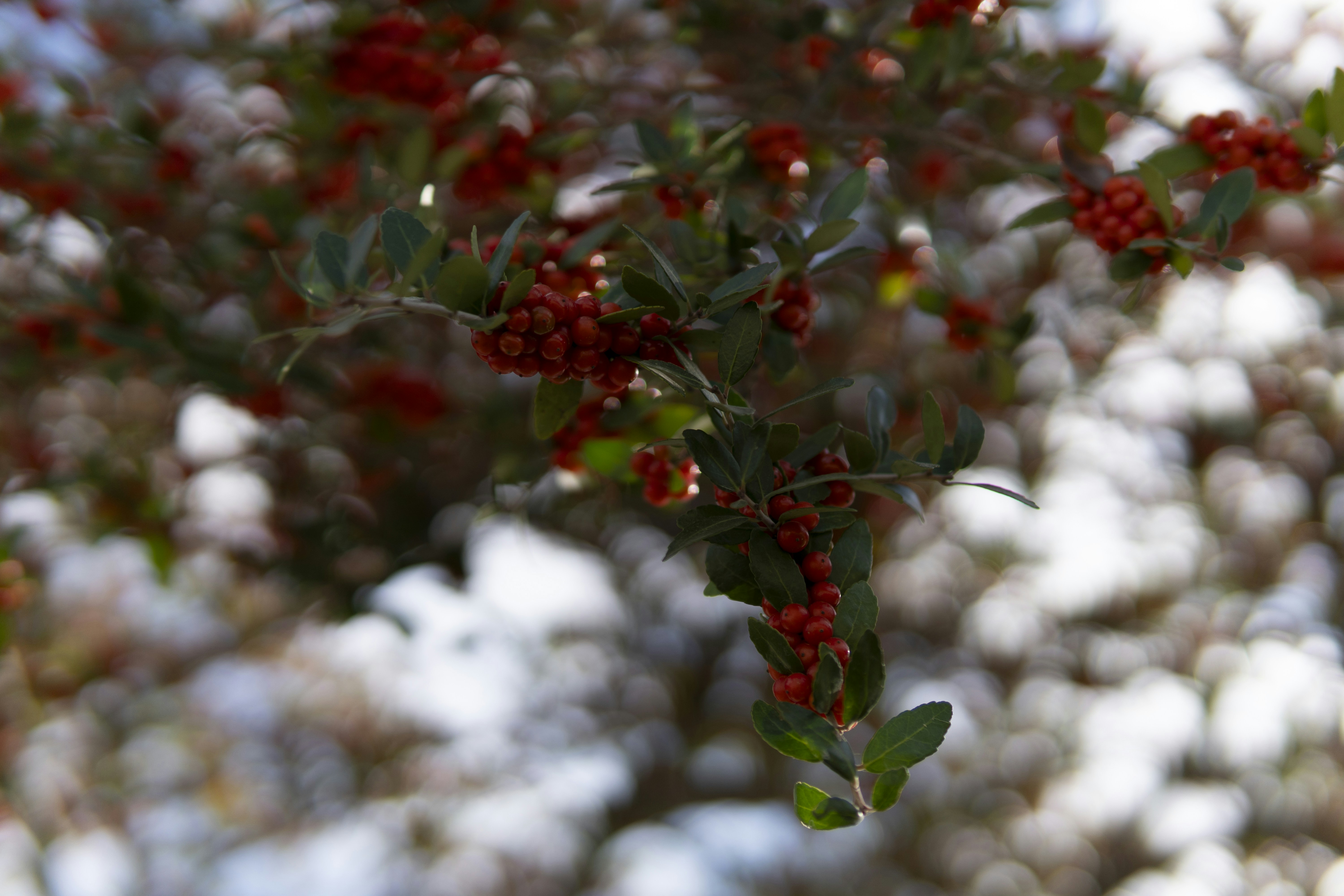 Photo by sankalpmudaliar