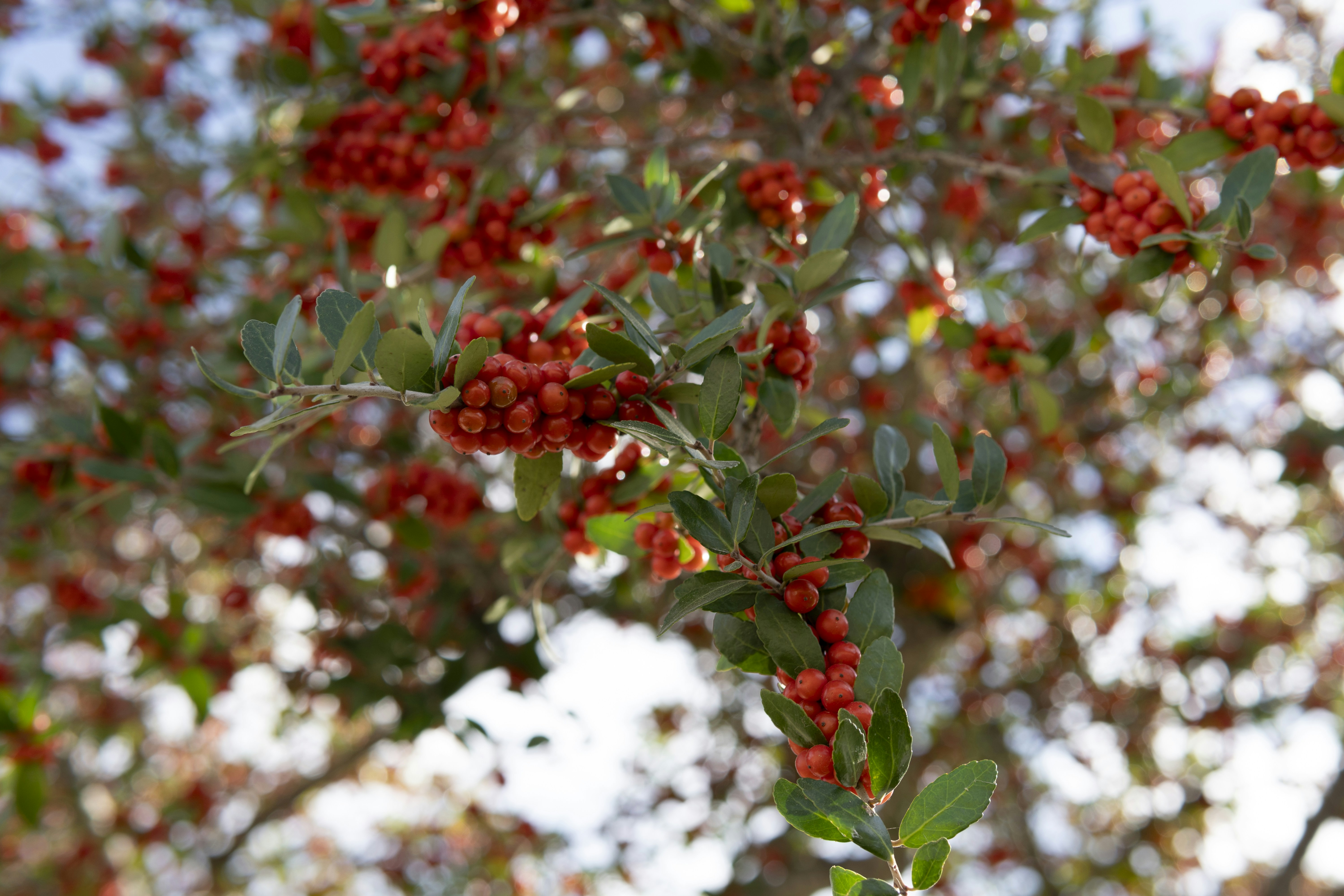 Photo by sankalpmudaliar