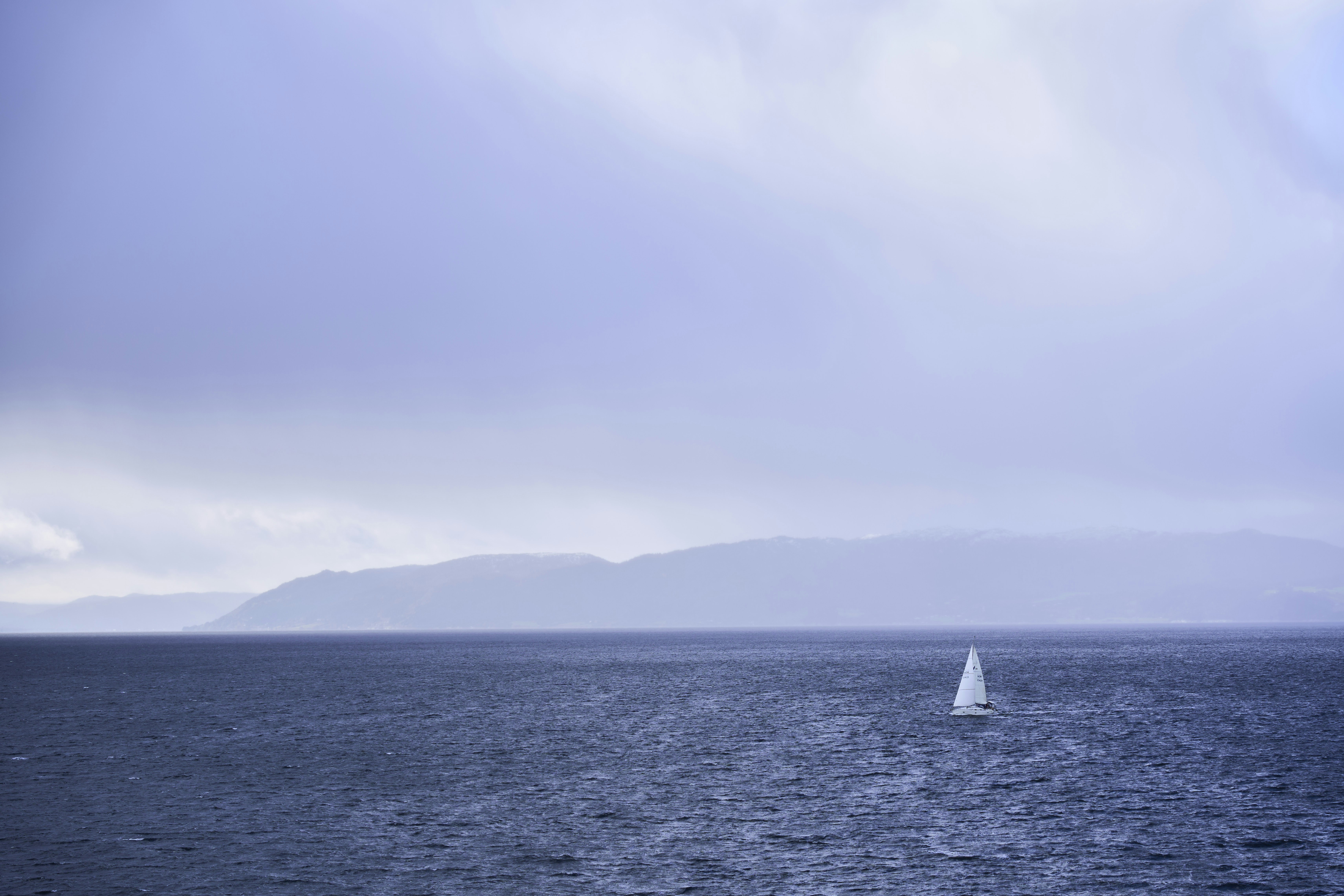 Photo by wolfgang_hasselmann