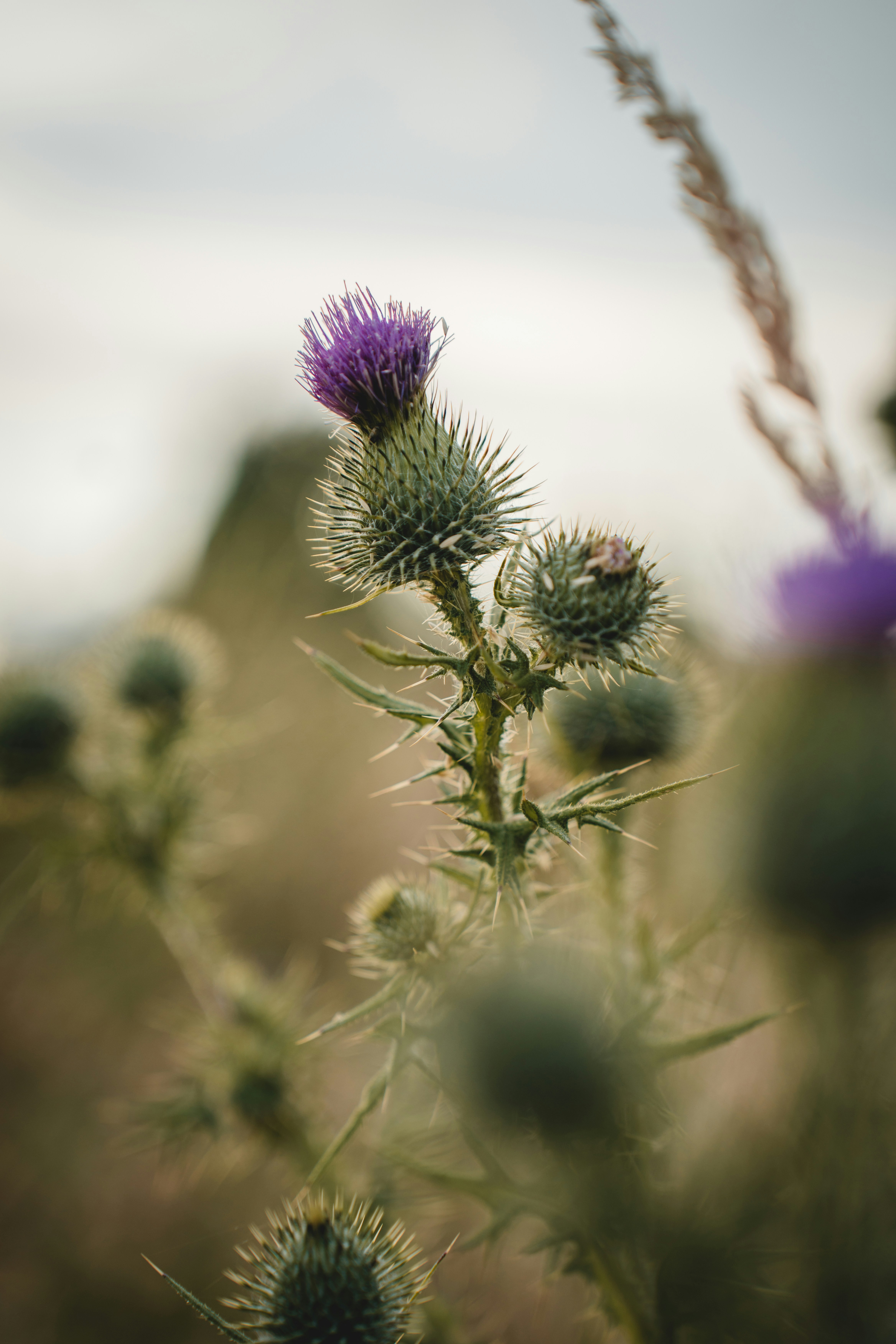 Photo by clementproust