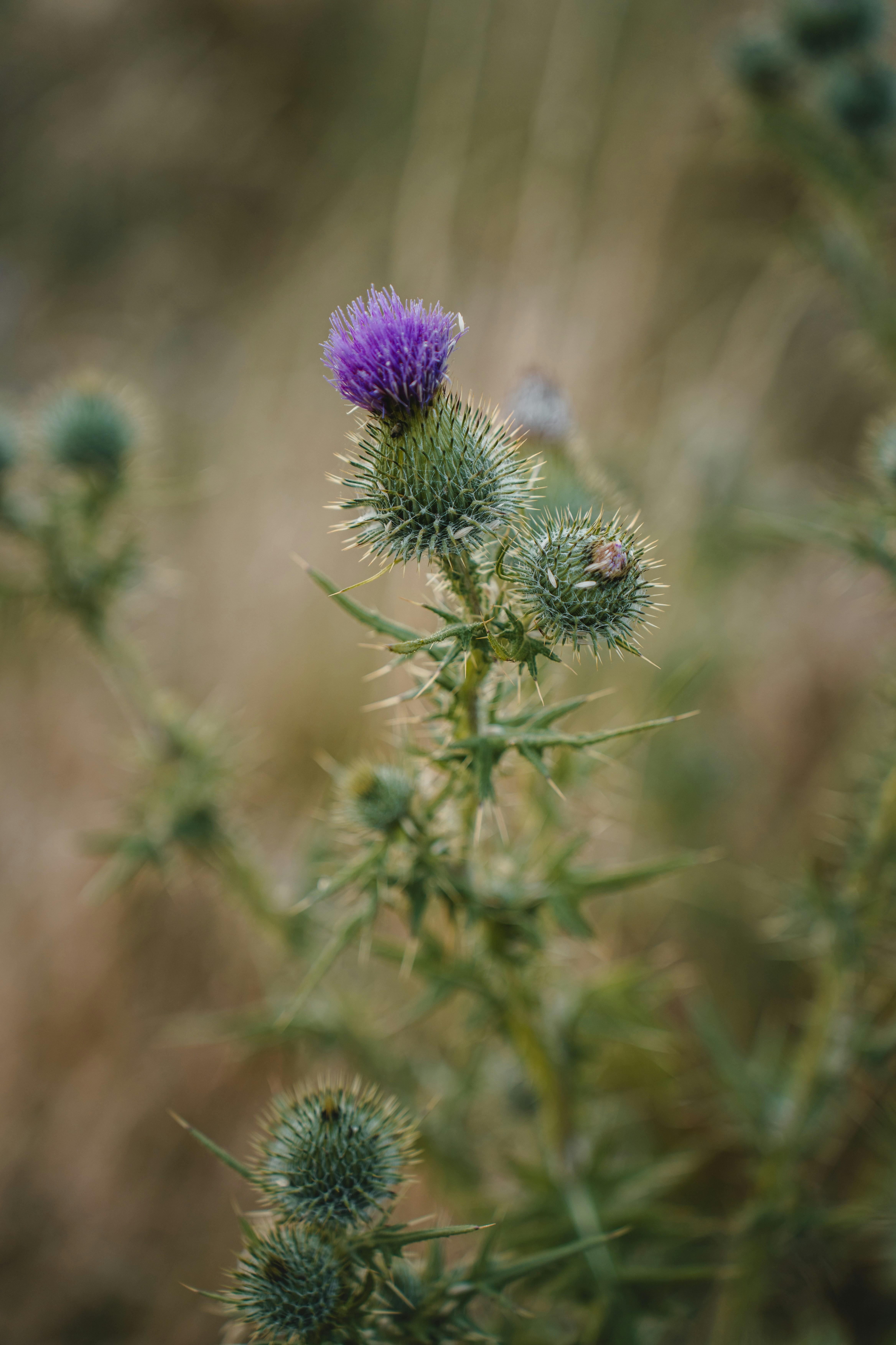 Photo by clementproust