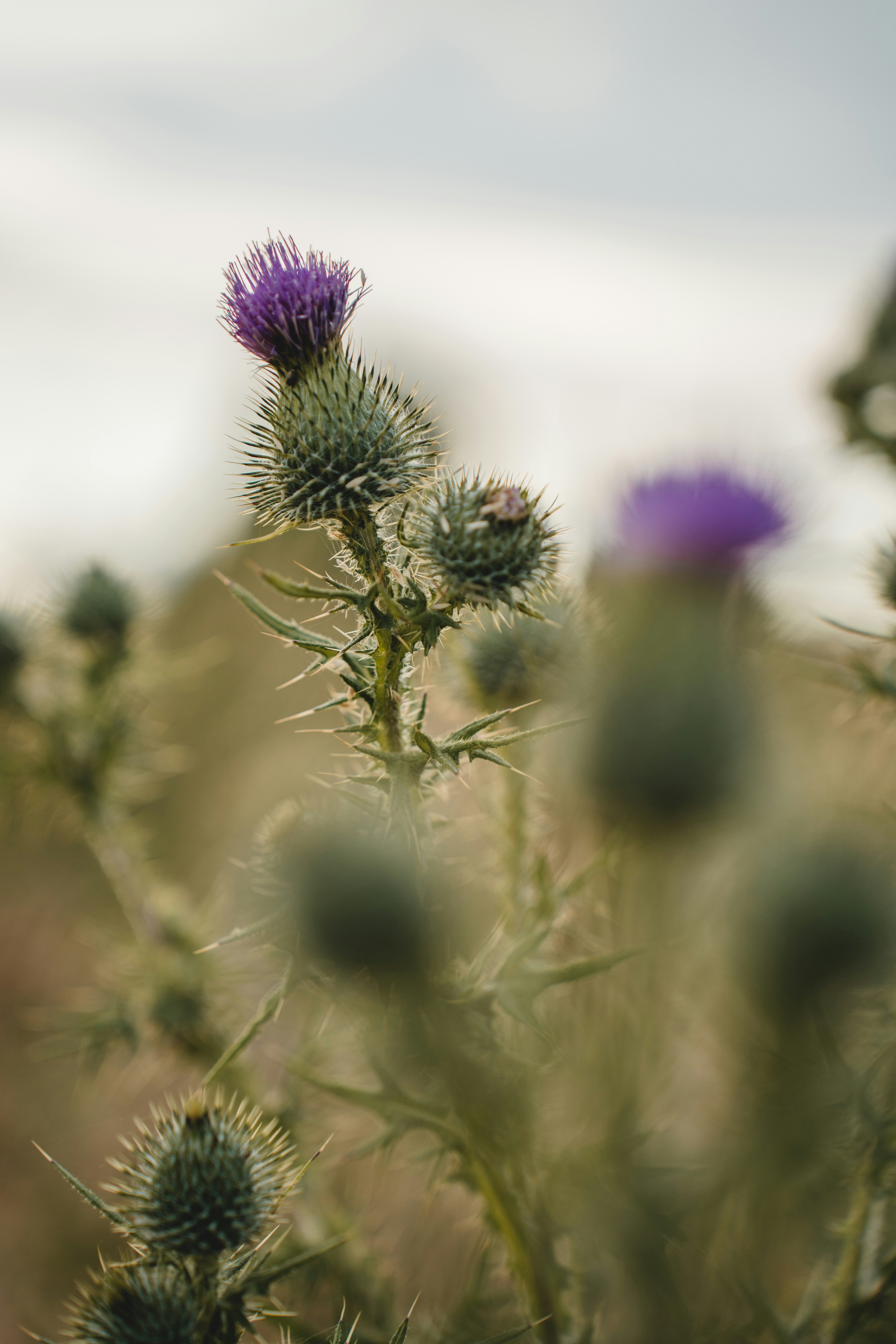 Photo by clementproust