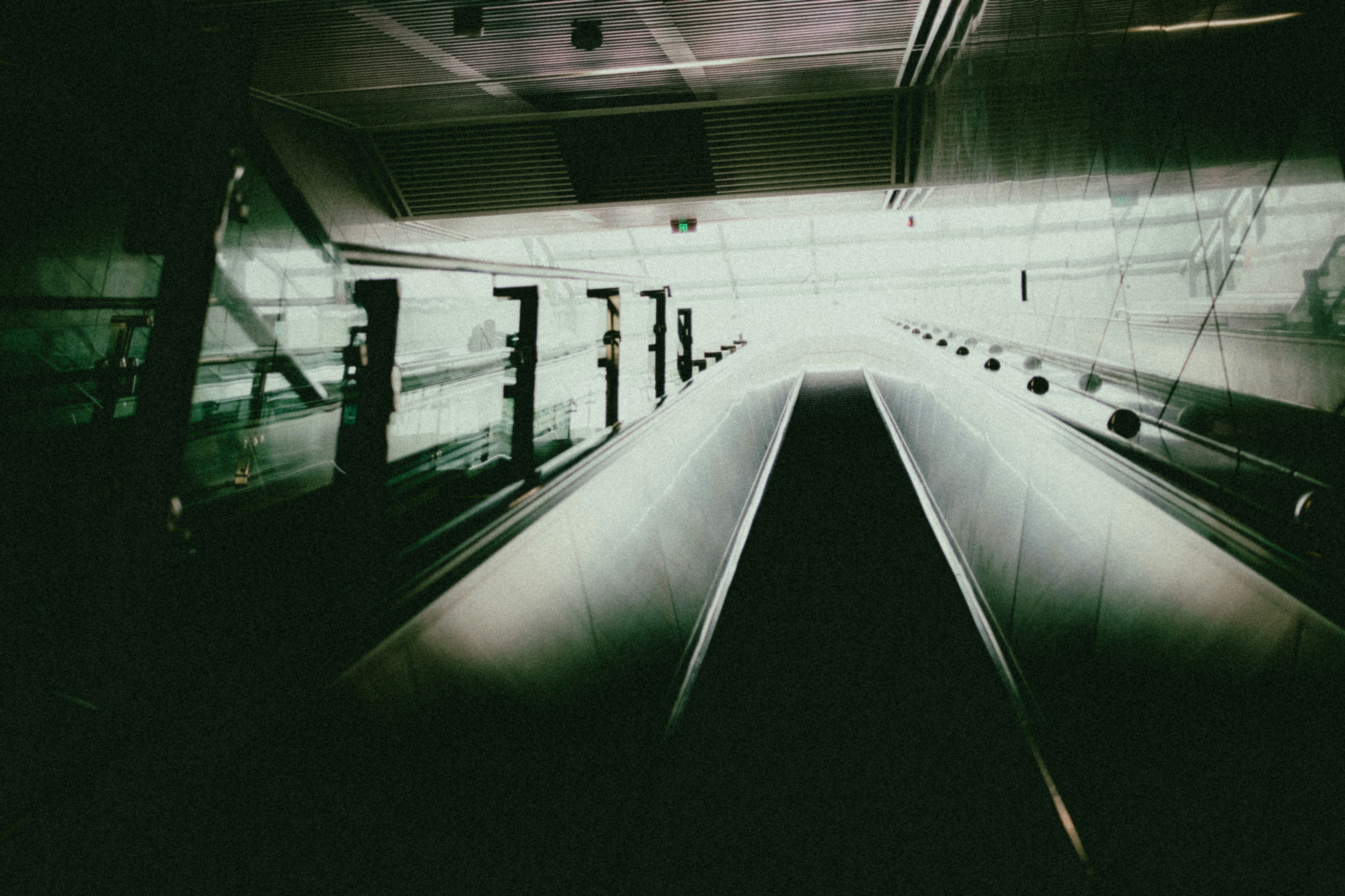 Photo by xingchenyan