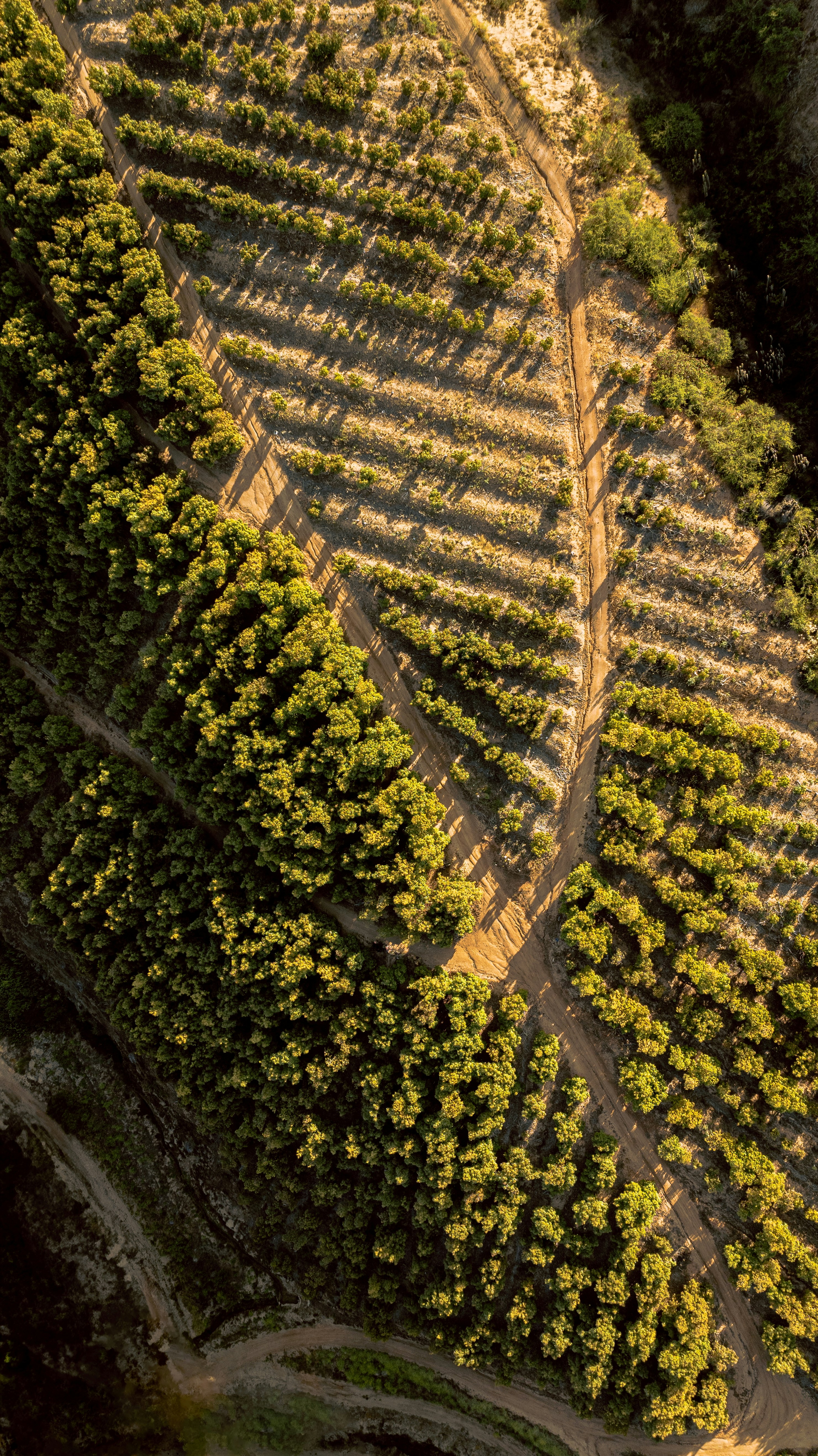 Photo by luckas_bff_me