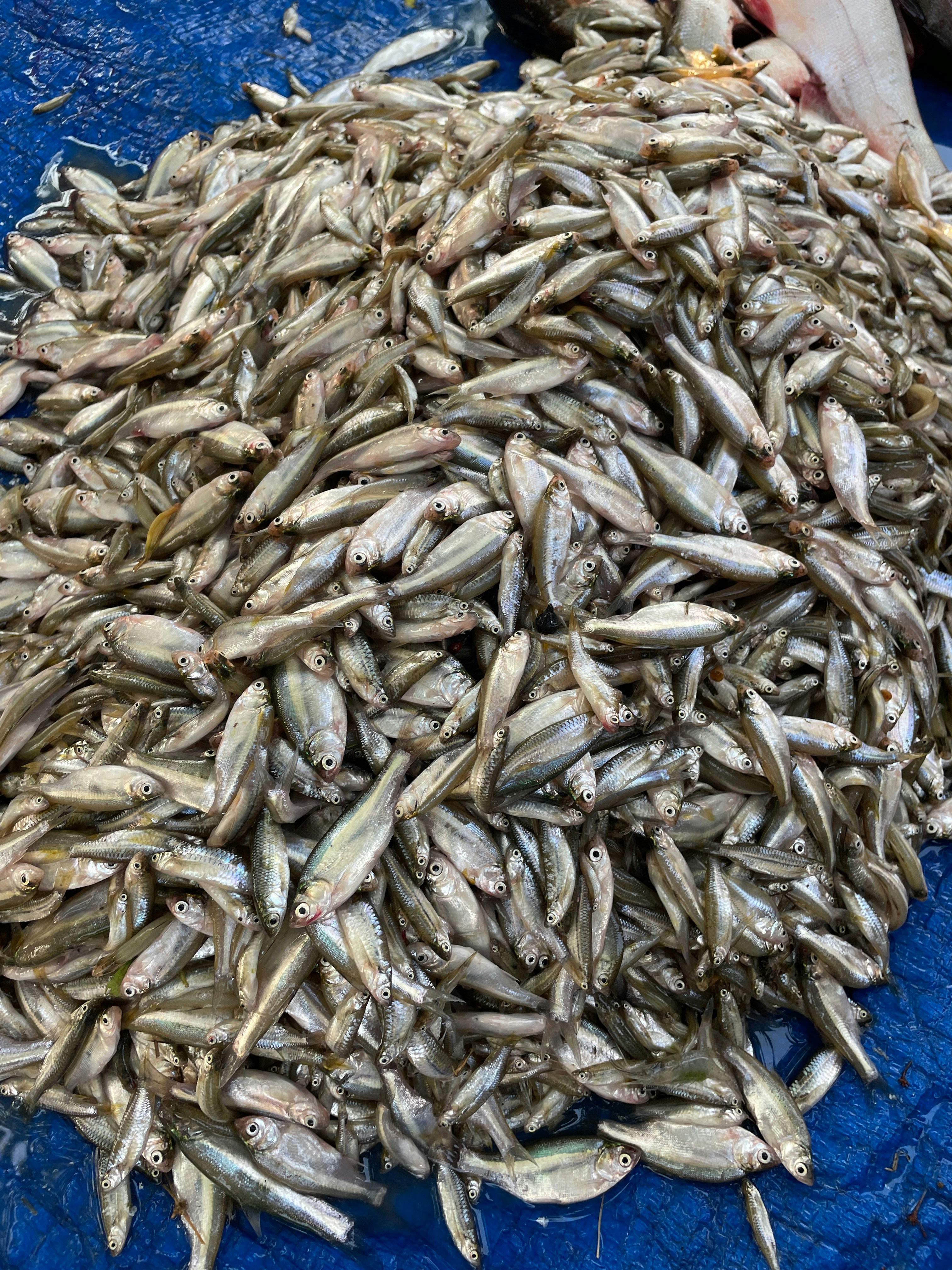 Photo by sunilprajapati3001