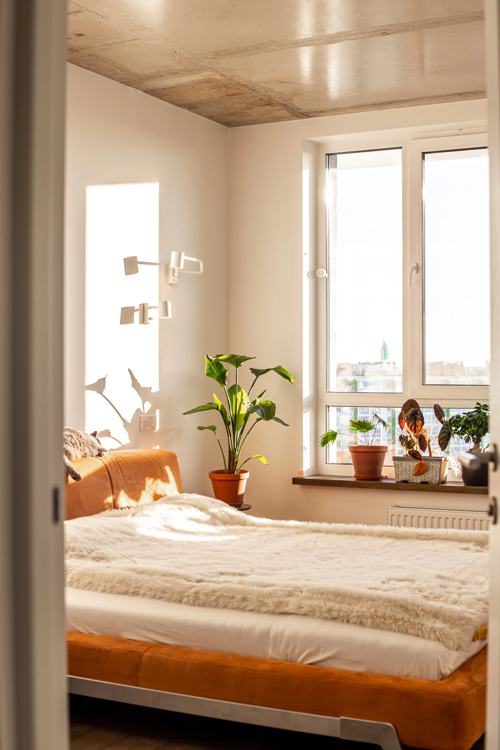 KARVE Kensington studio image