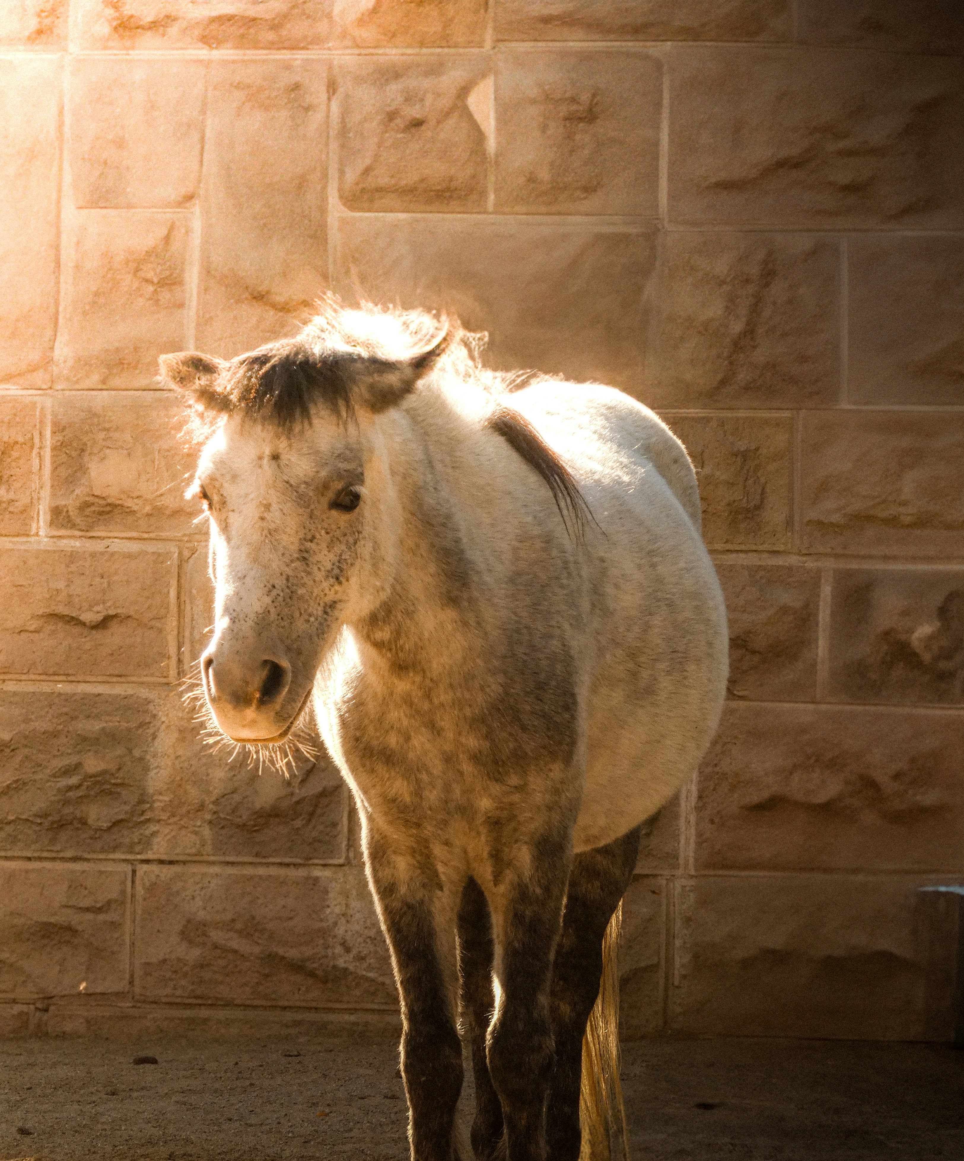 Photo by abdulkadiremiroglu