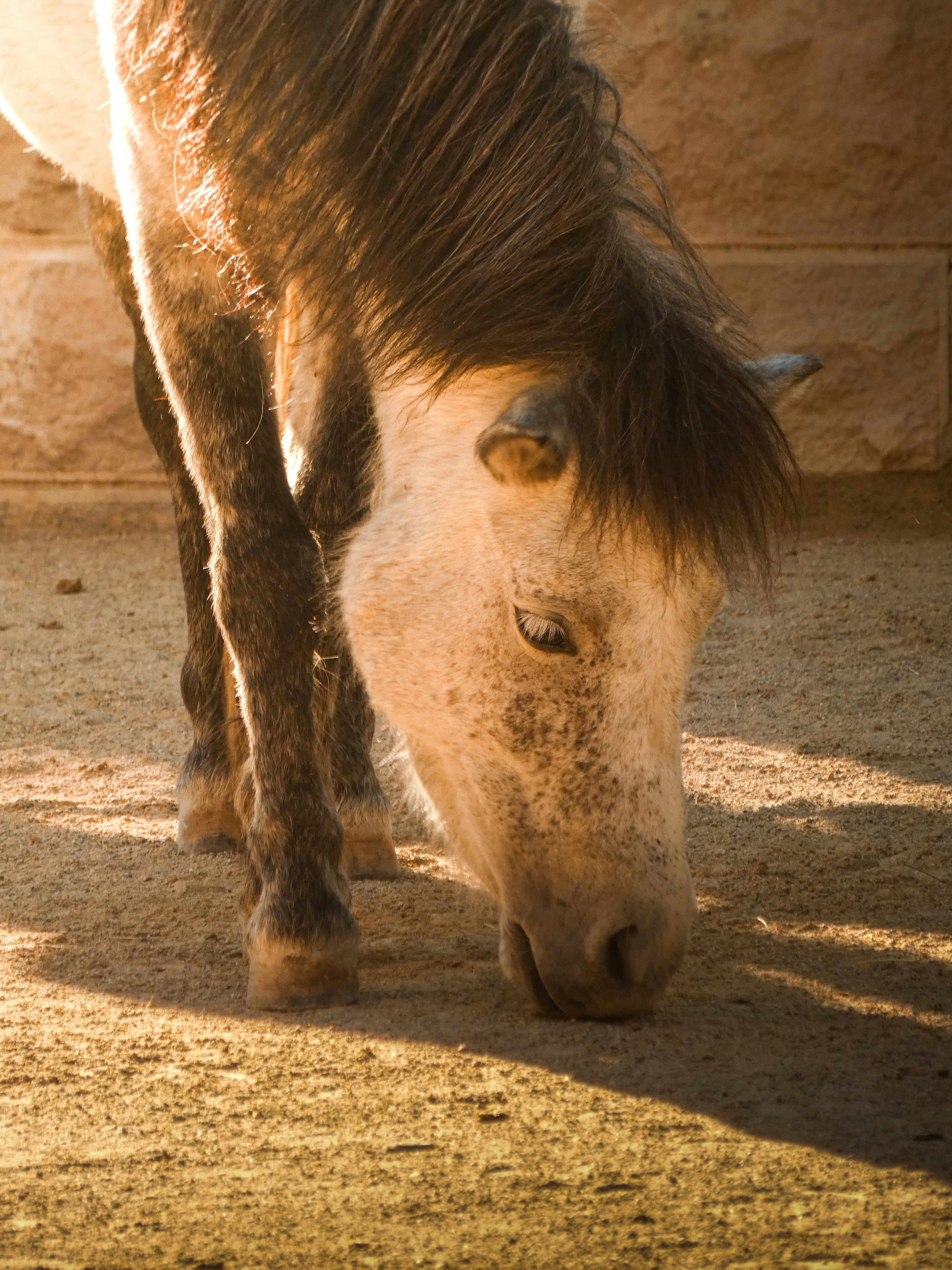 Photo by abdulkadiremiroglu