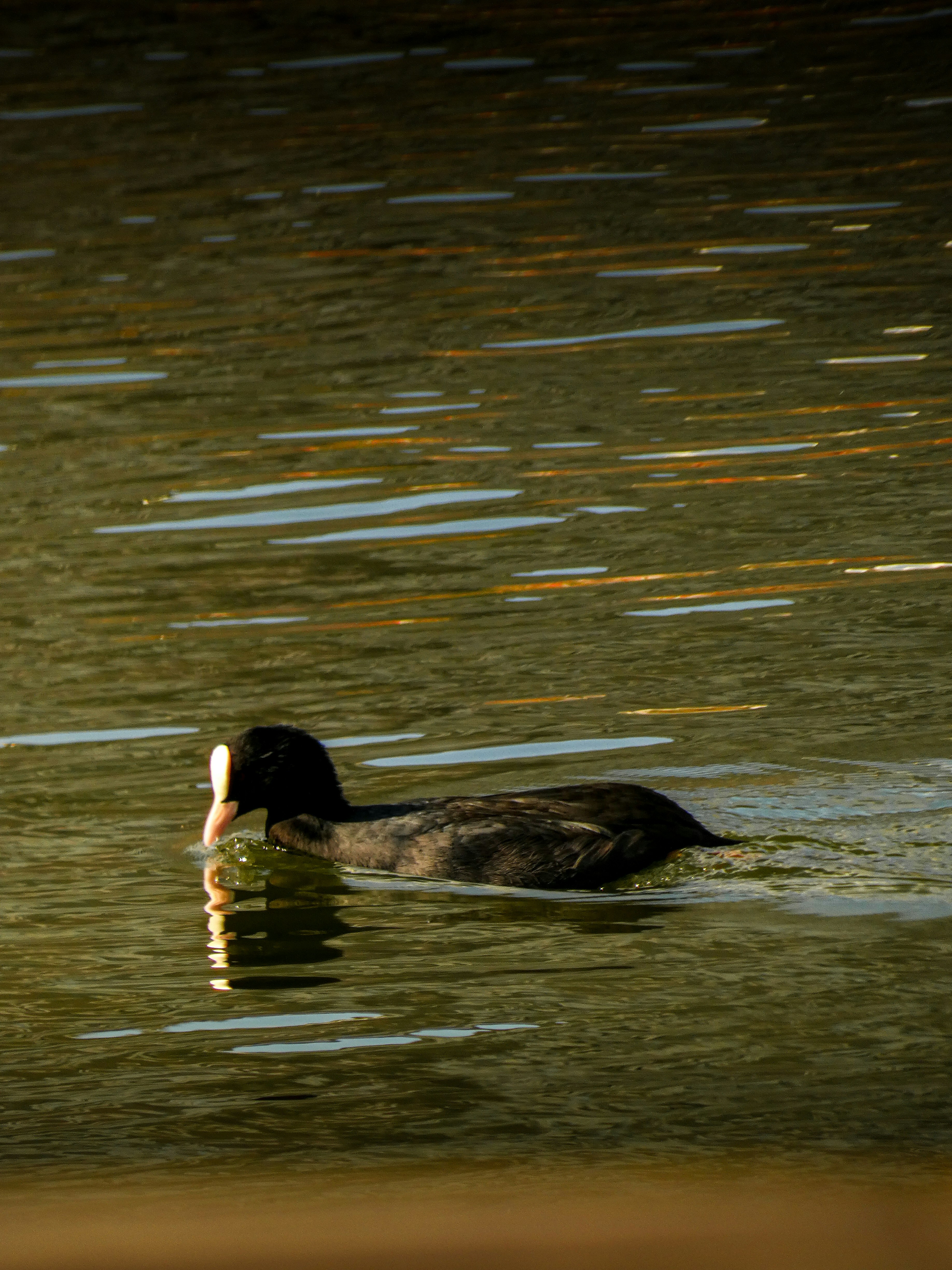 Photo by abdulkadiremiroglu
