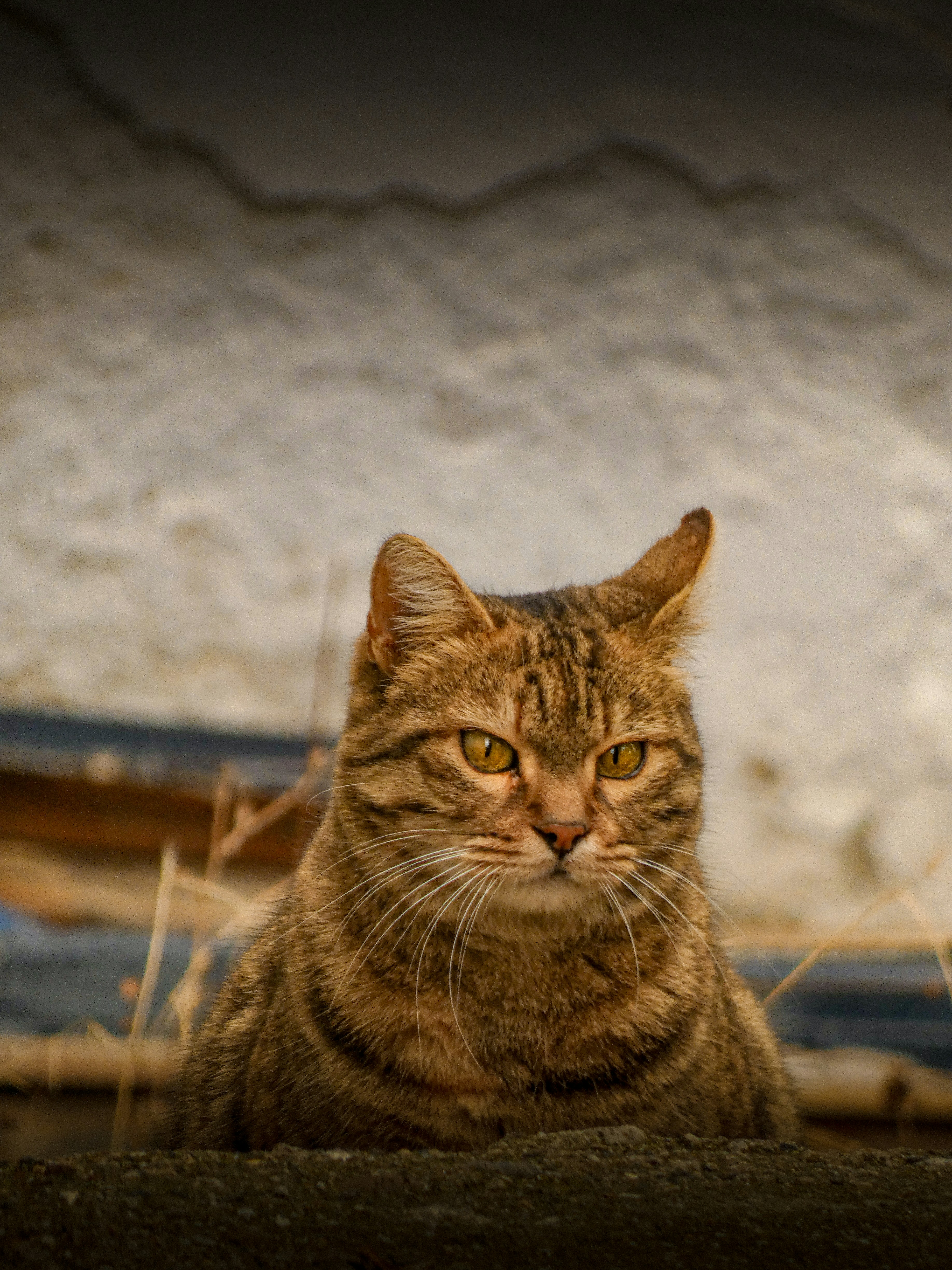 Photo by abdulkadiremiroglu