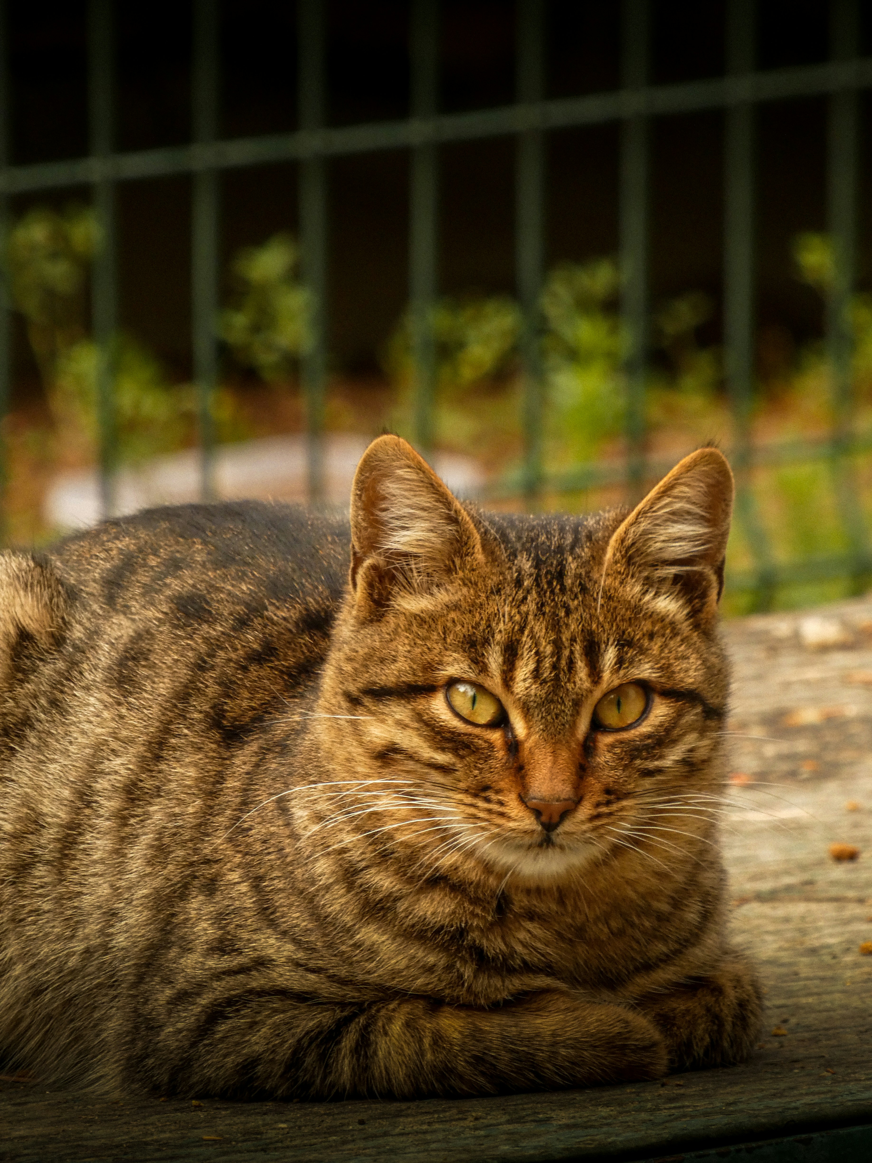 Photo by abdulkadiremiroglu