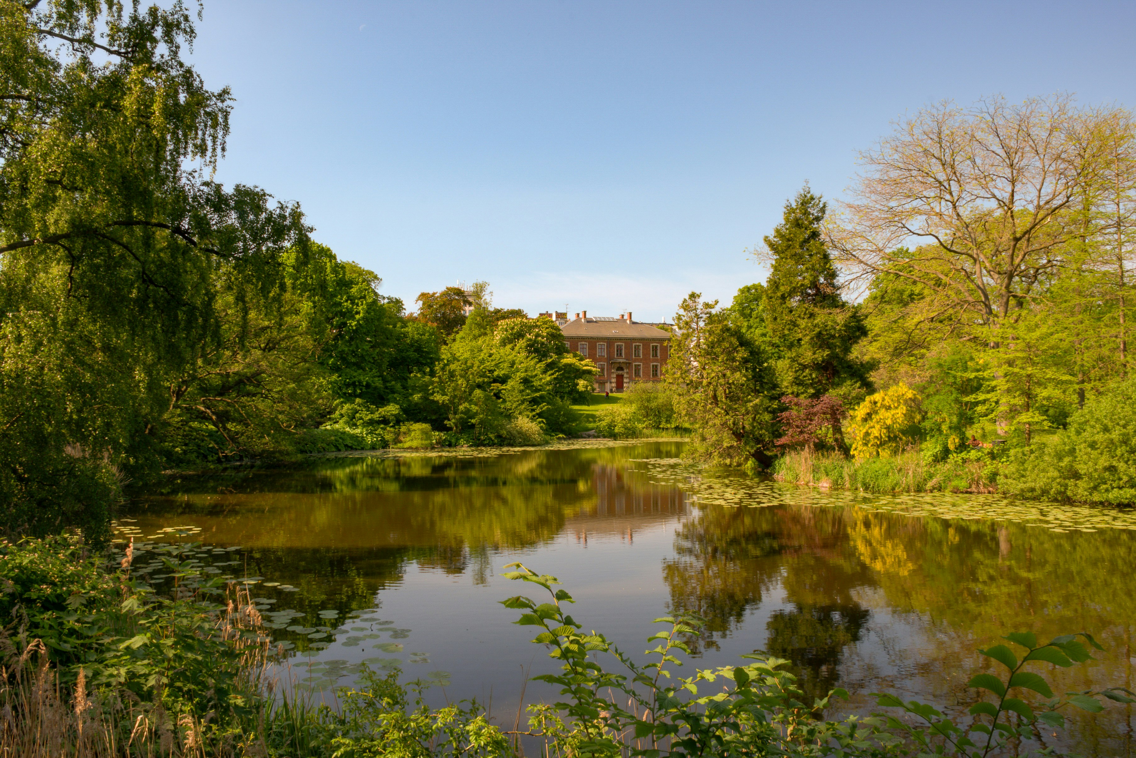 Photo by mirceadrian