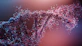 A close up of a cell phone with a blurry background
