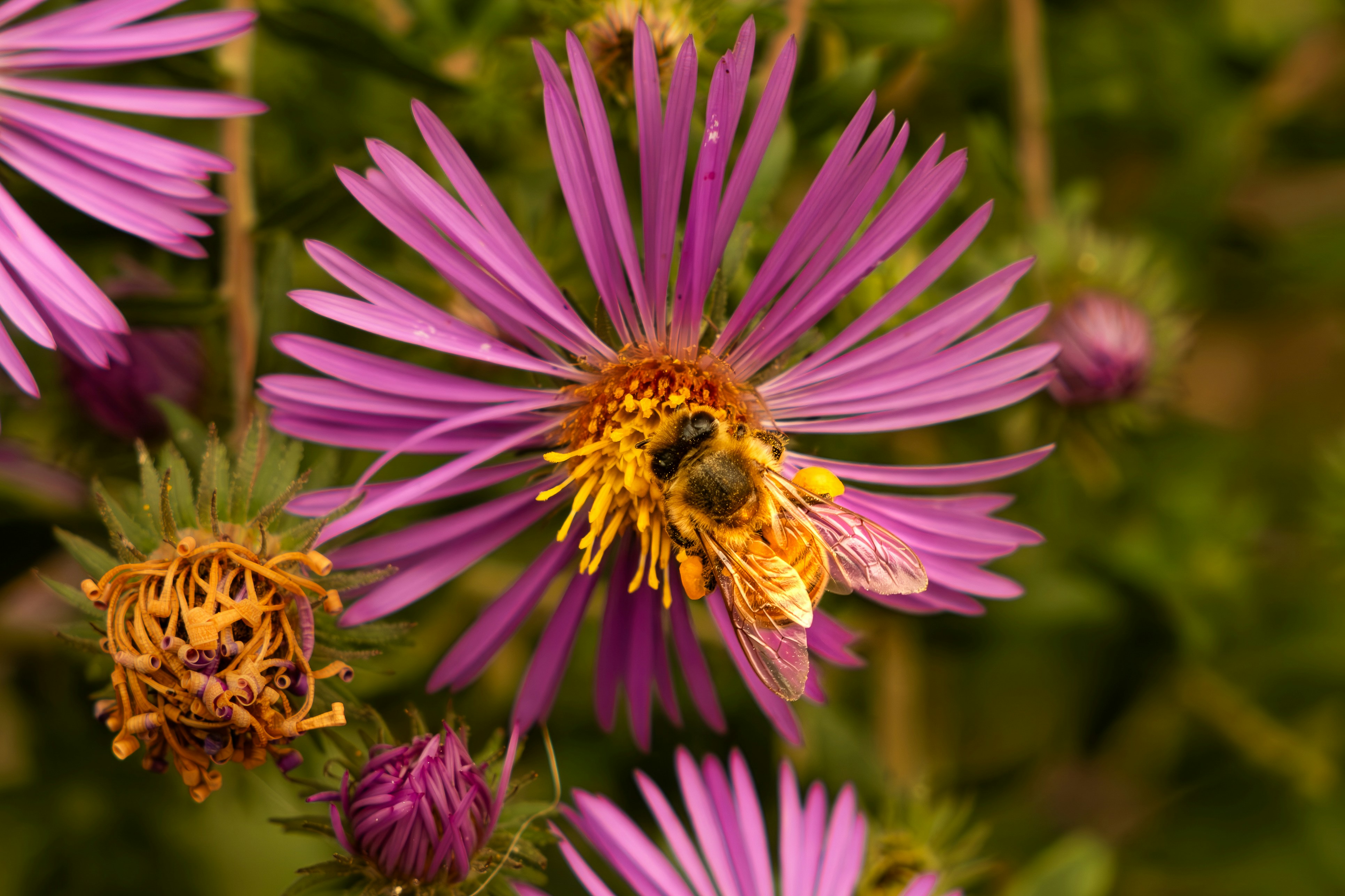 Photo by noahnothman