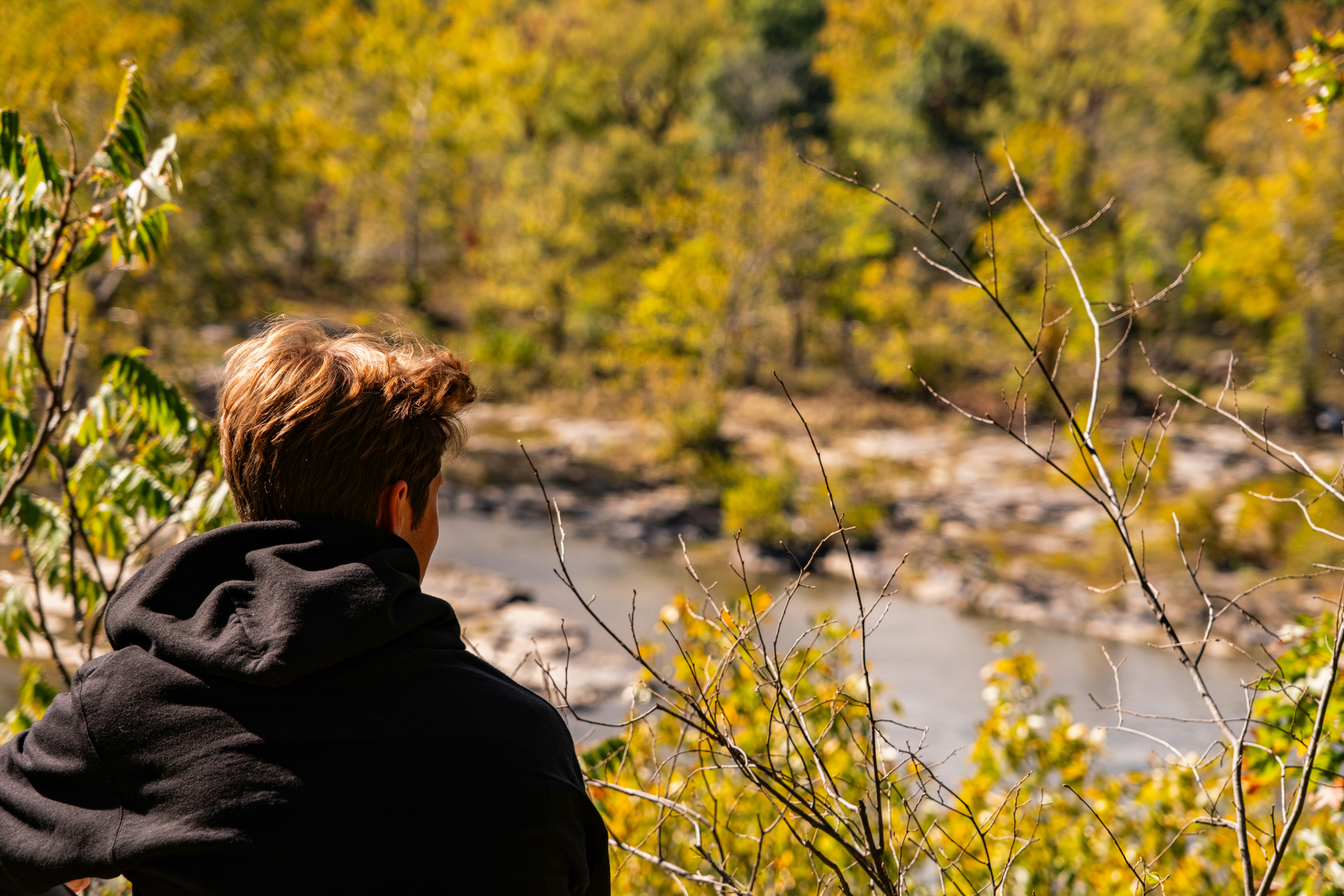 Photo by noahnothman