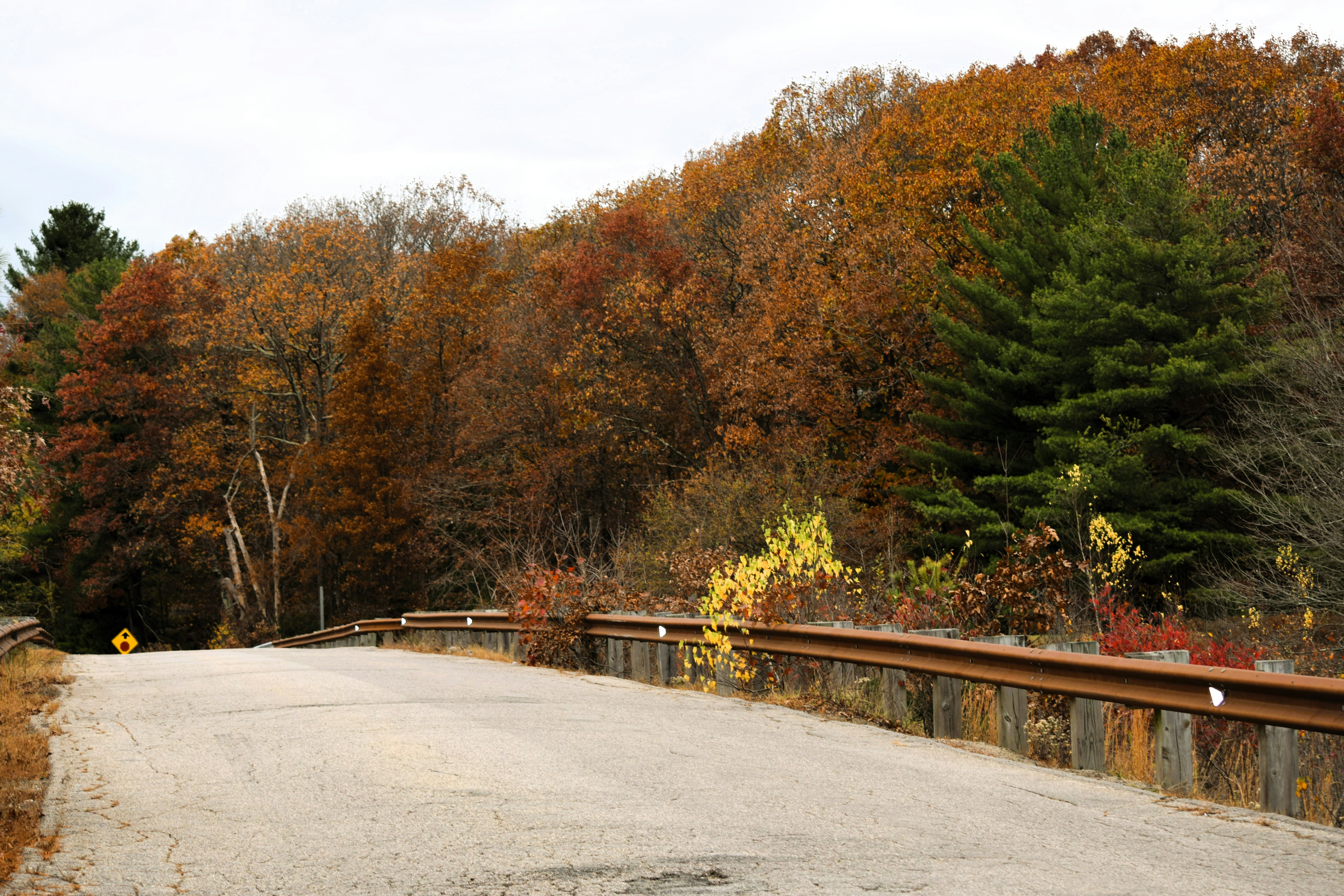 Photo by markagardphoto