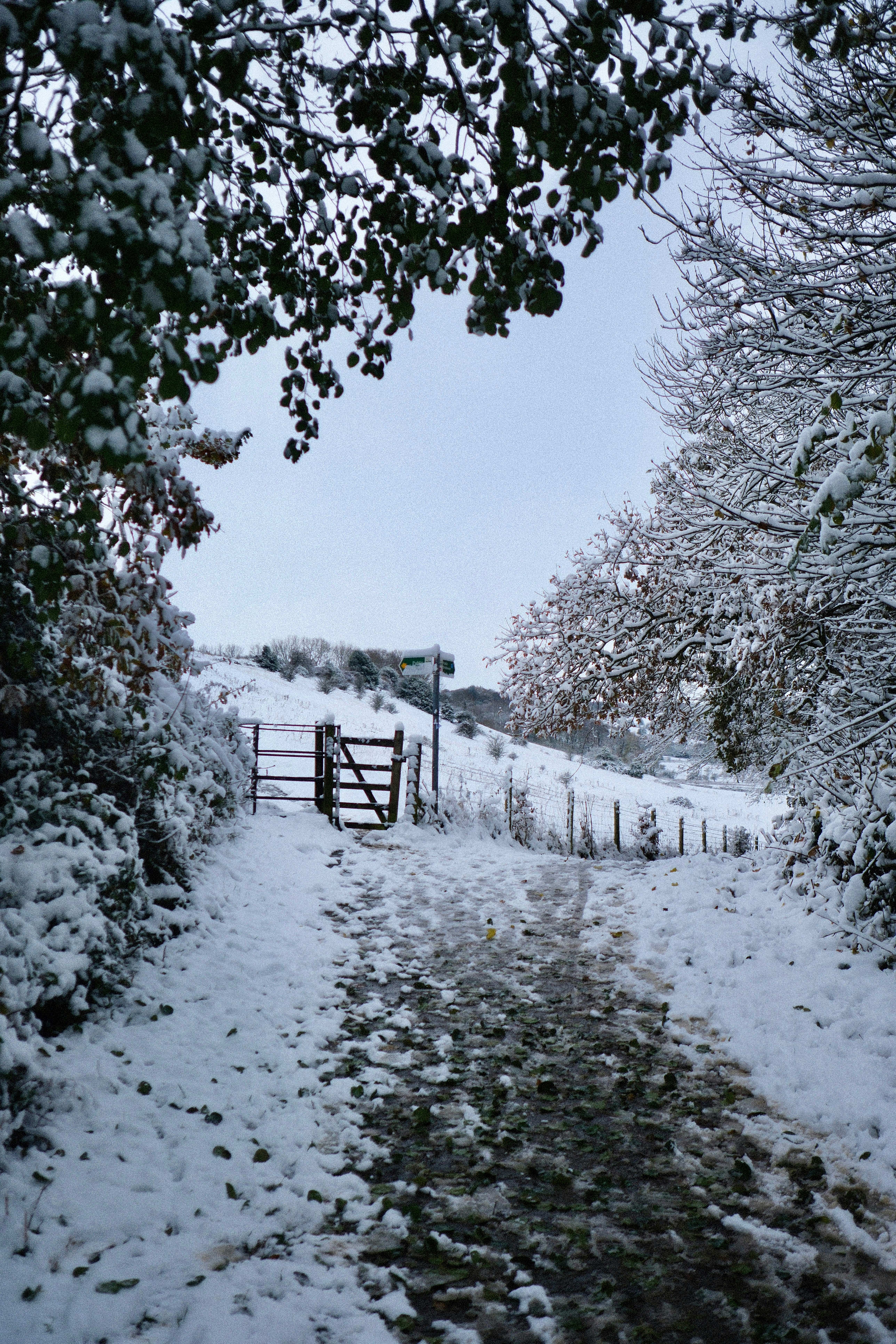 A snow covered path leading to a gate