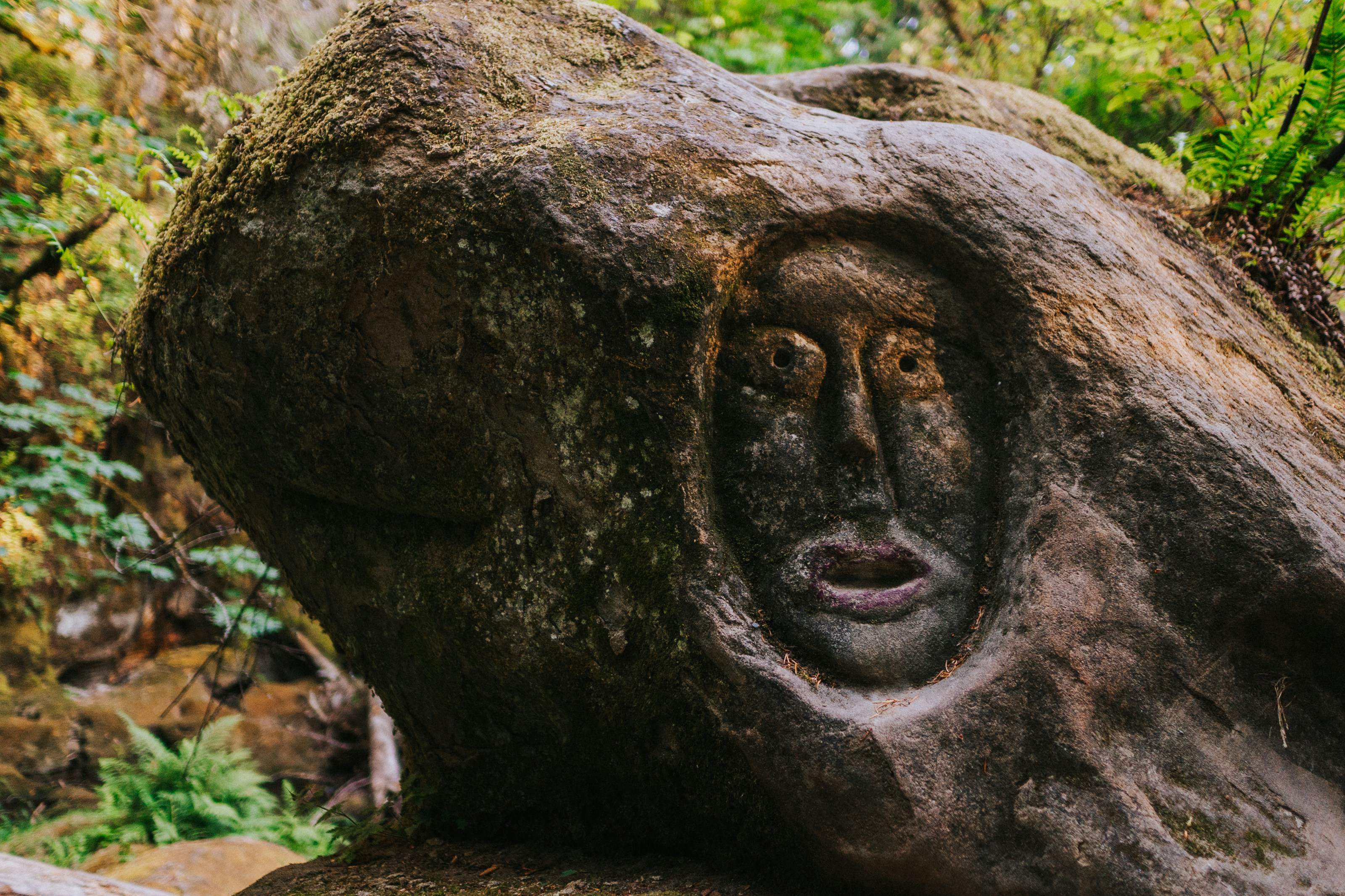 The Rich Tapestry of Scottish Clan Histories: Know Your Heritage