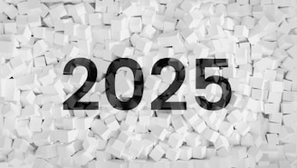 A black and white photo with the number 2055 on it