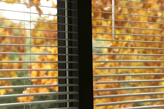 clean window in capalaba