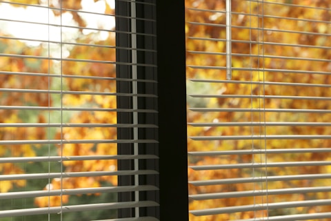 clean window in capalaba