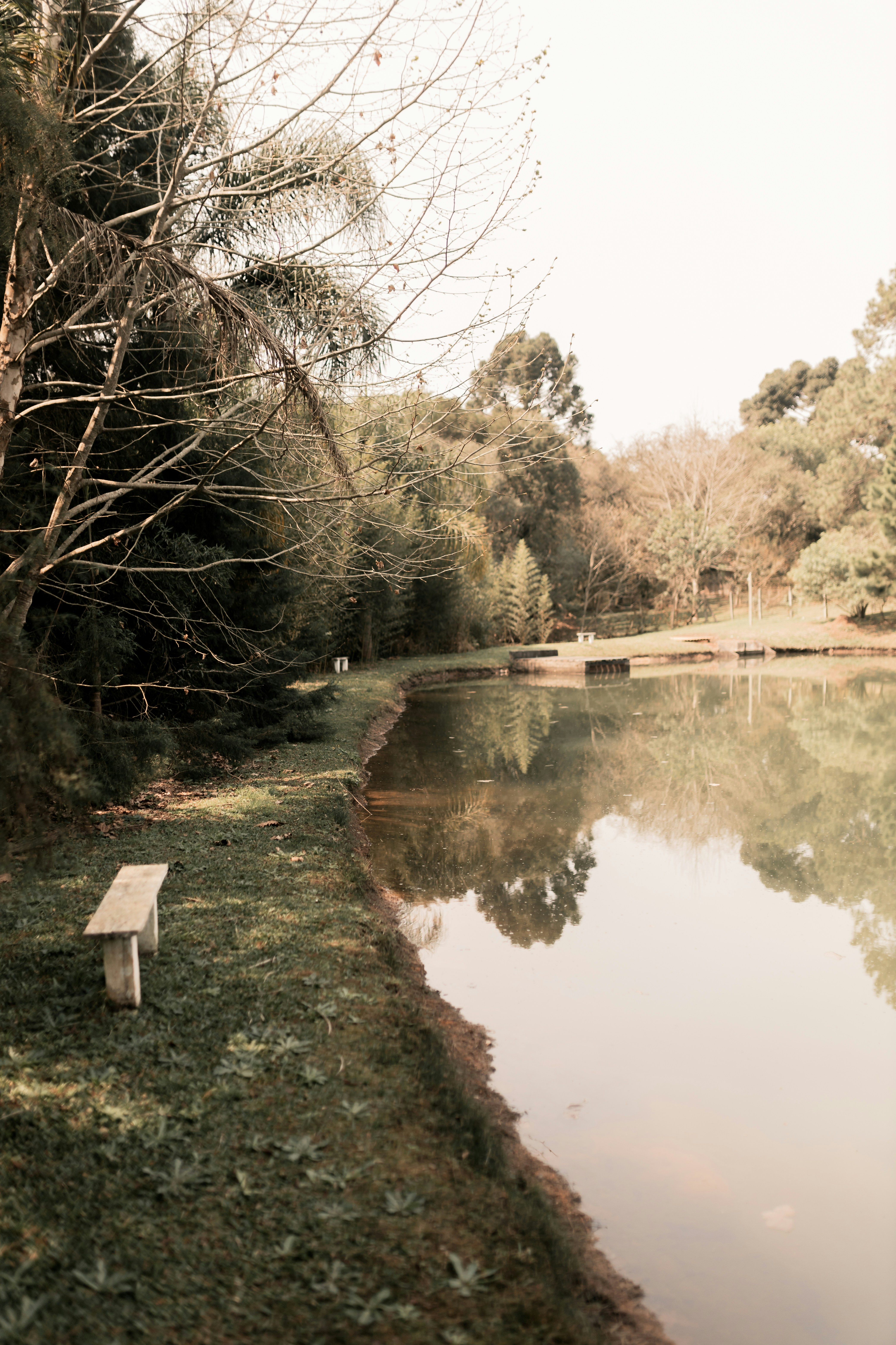 Photo by alexandermassph