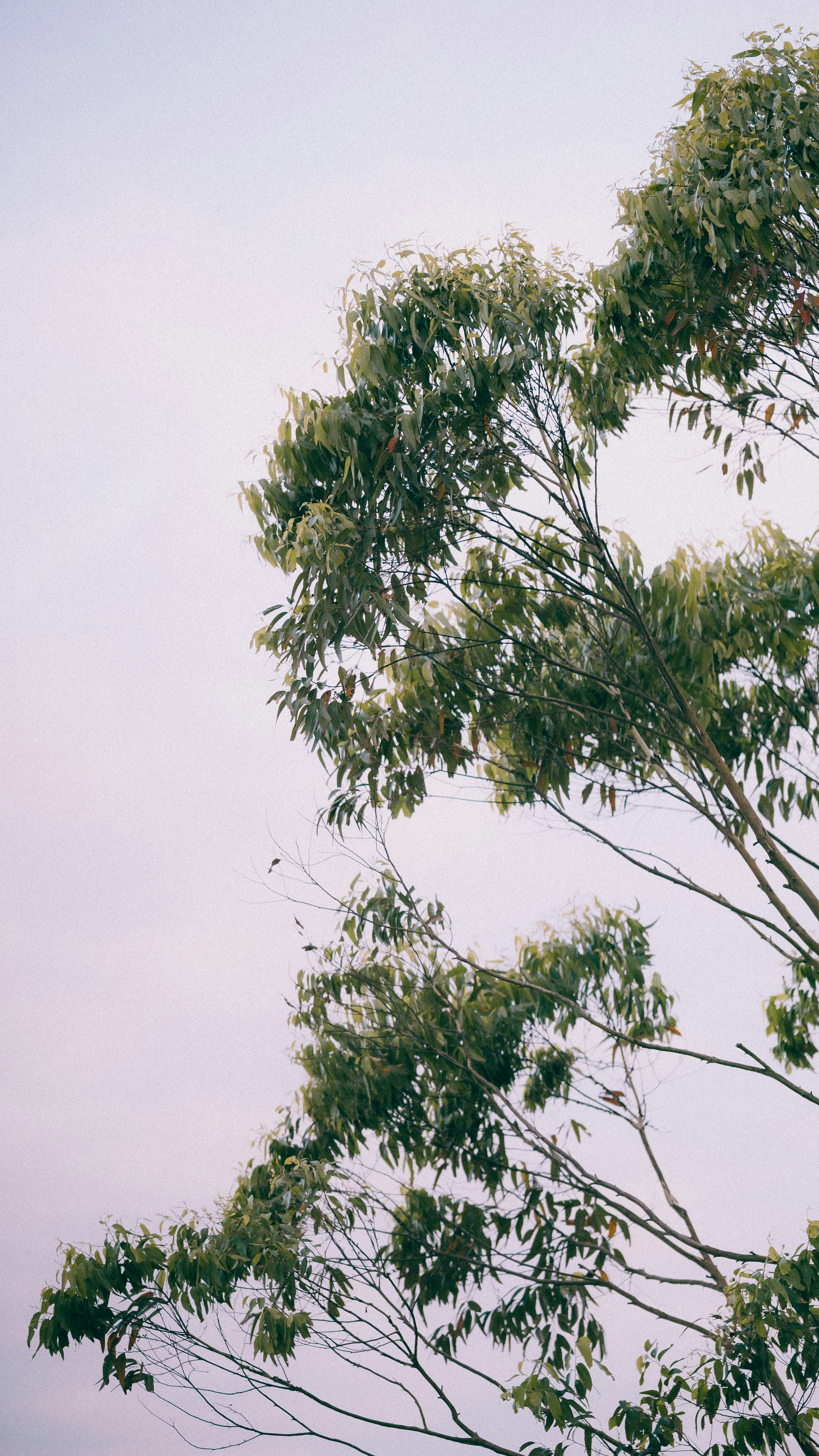 Photo by alexandermassph