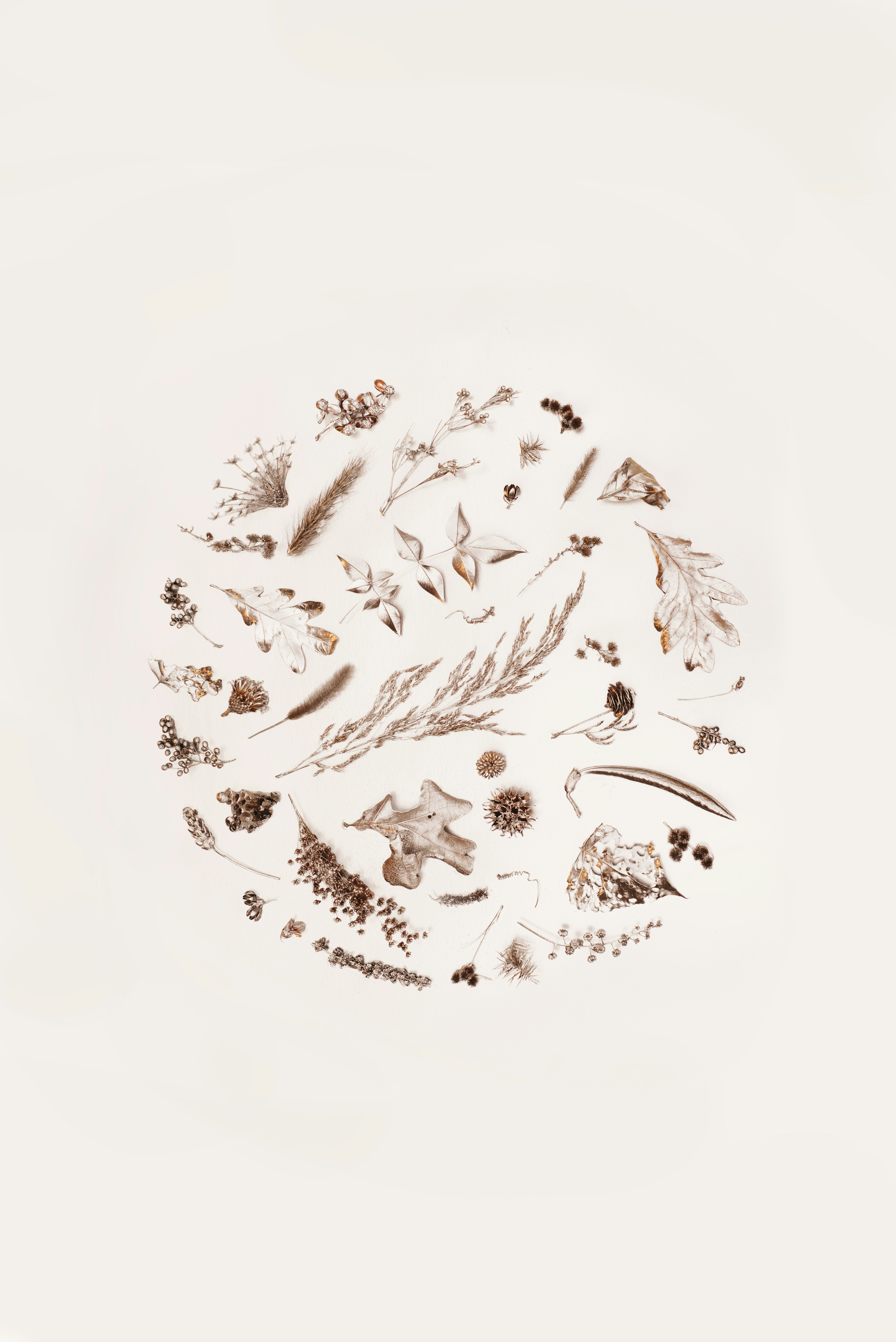 Photo by evieshaffer