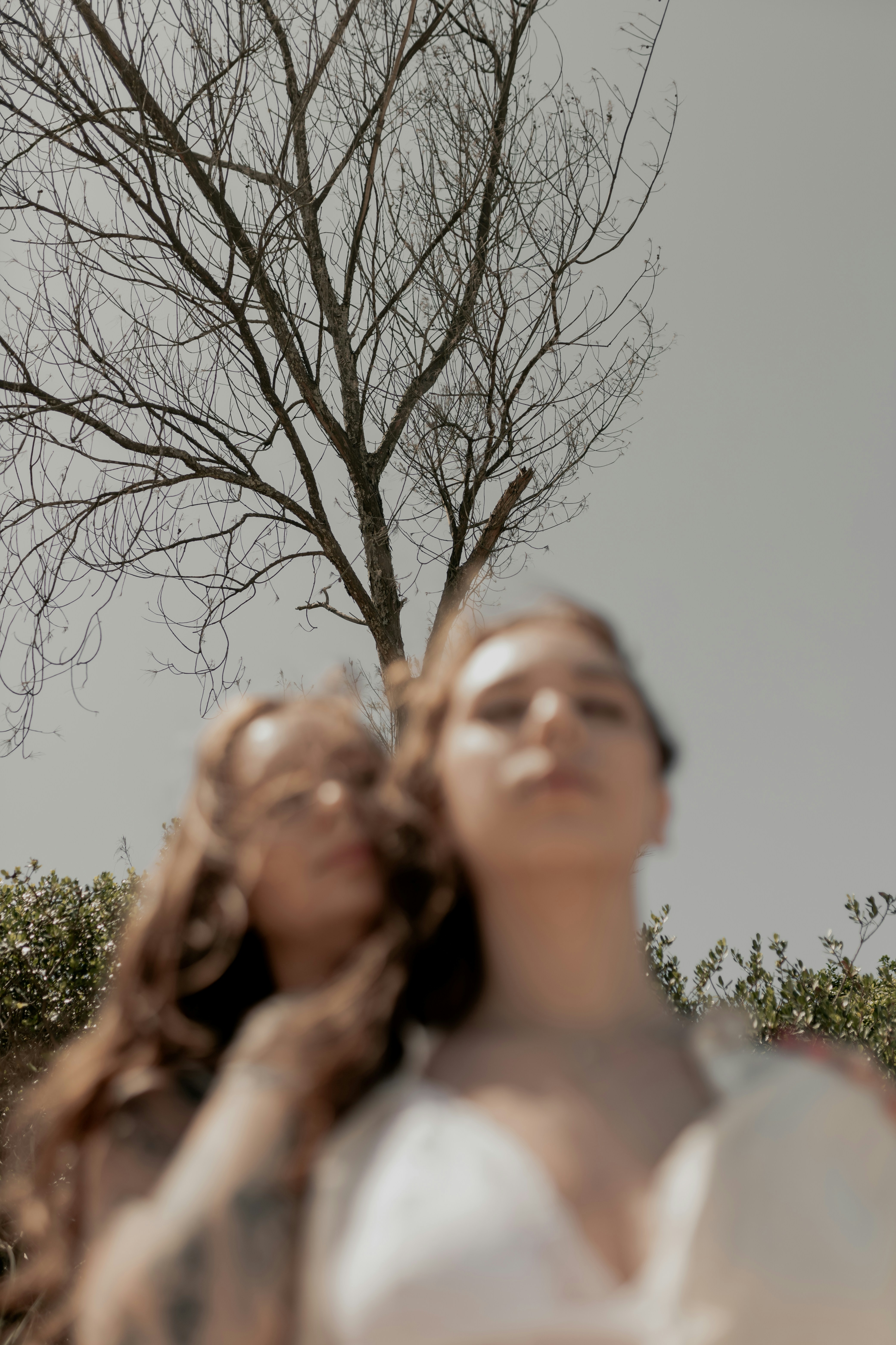 Photo by alexandermassph