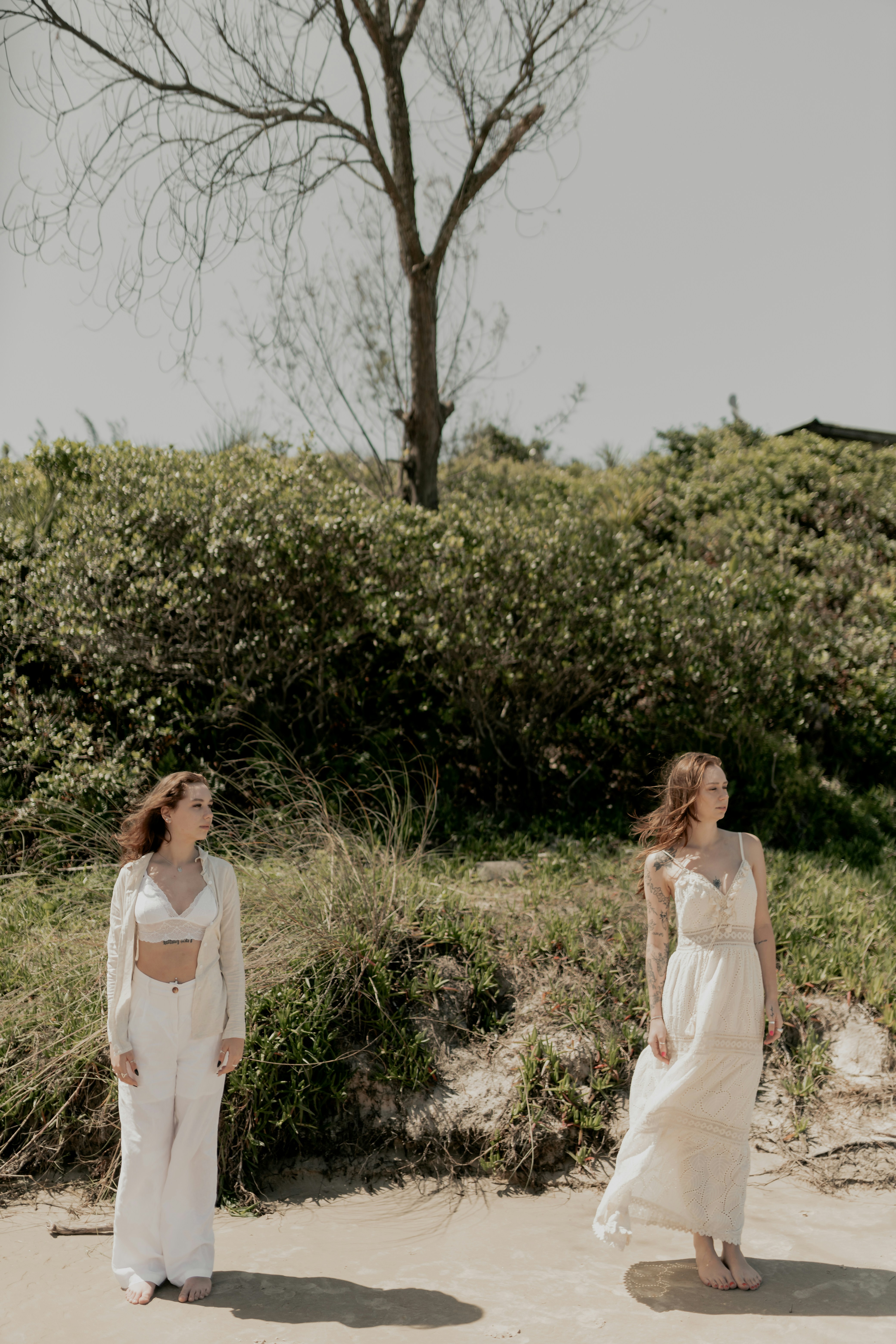 Photo by alexandermassph