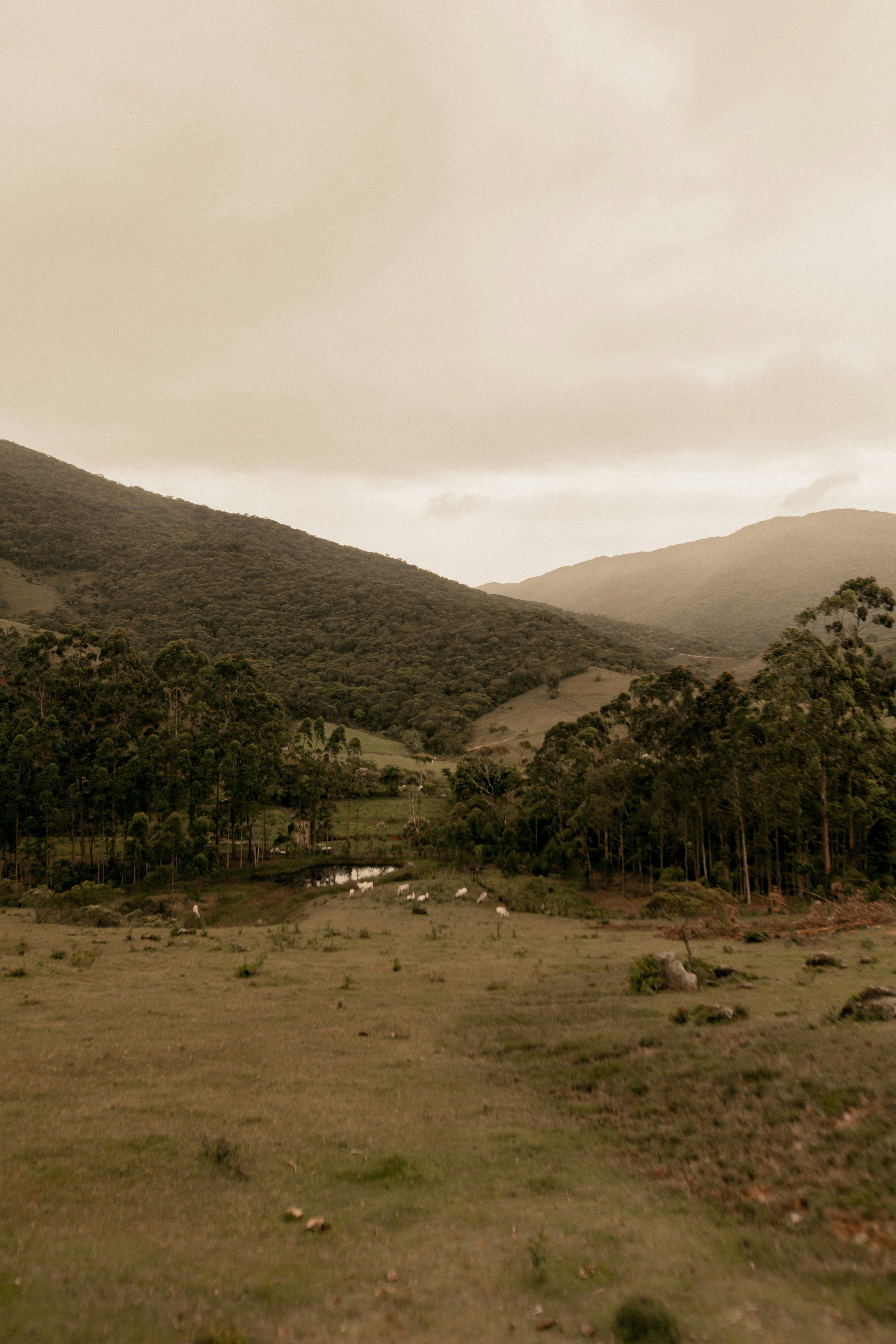 Photo by alexandermassph