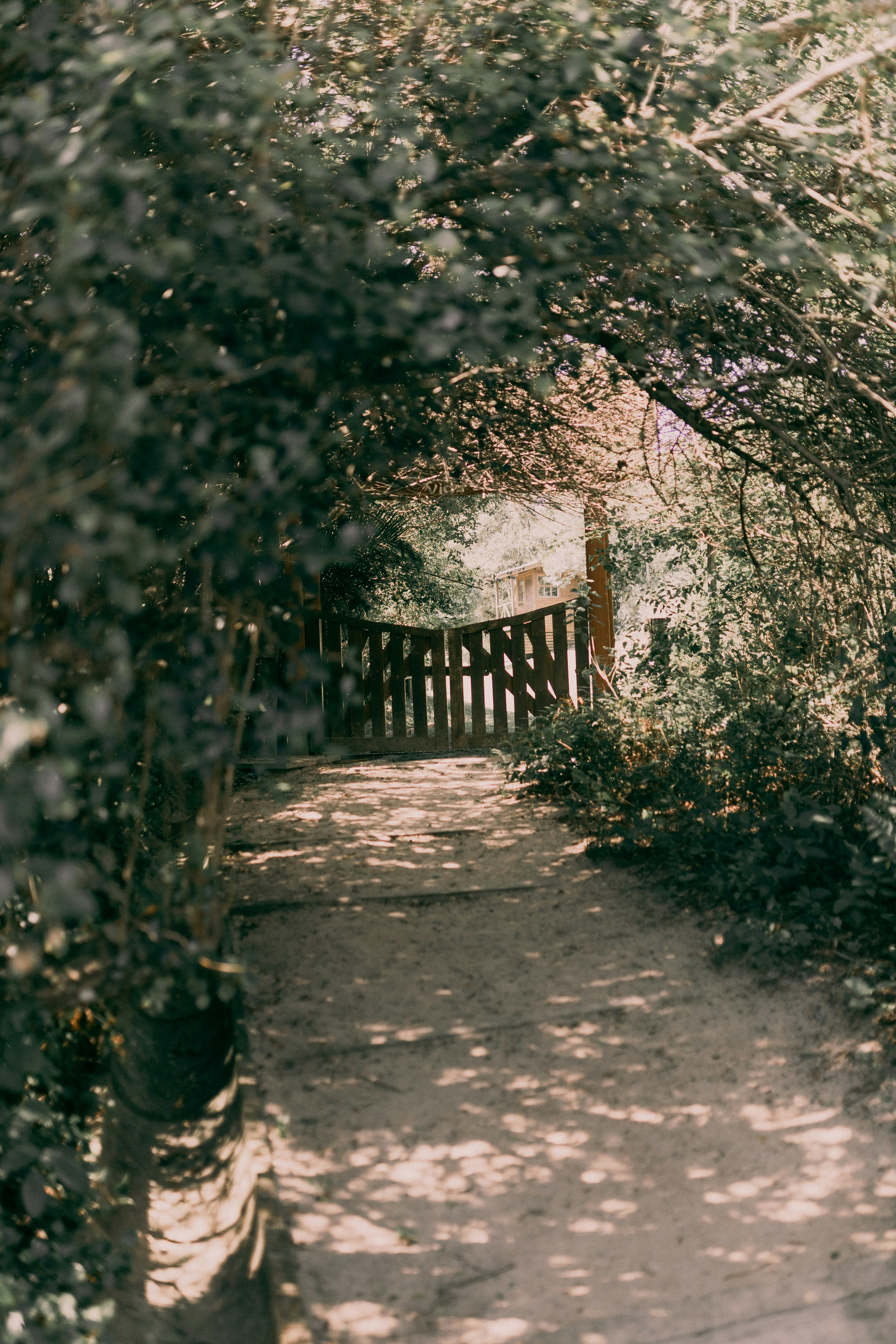 Photo by alexandermassph