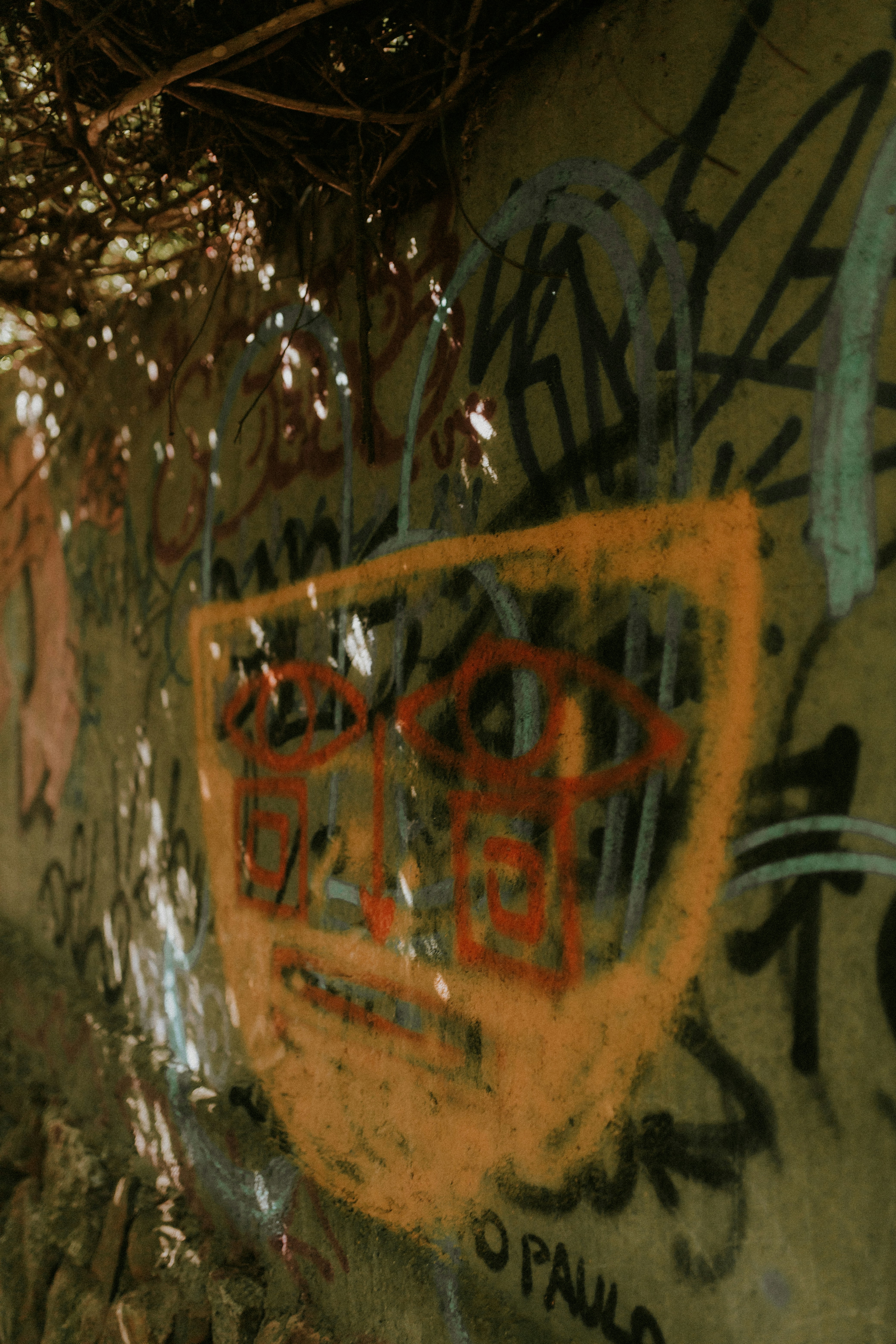 Photo by alexandermassph