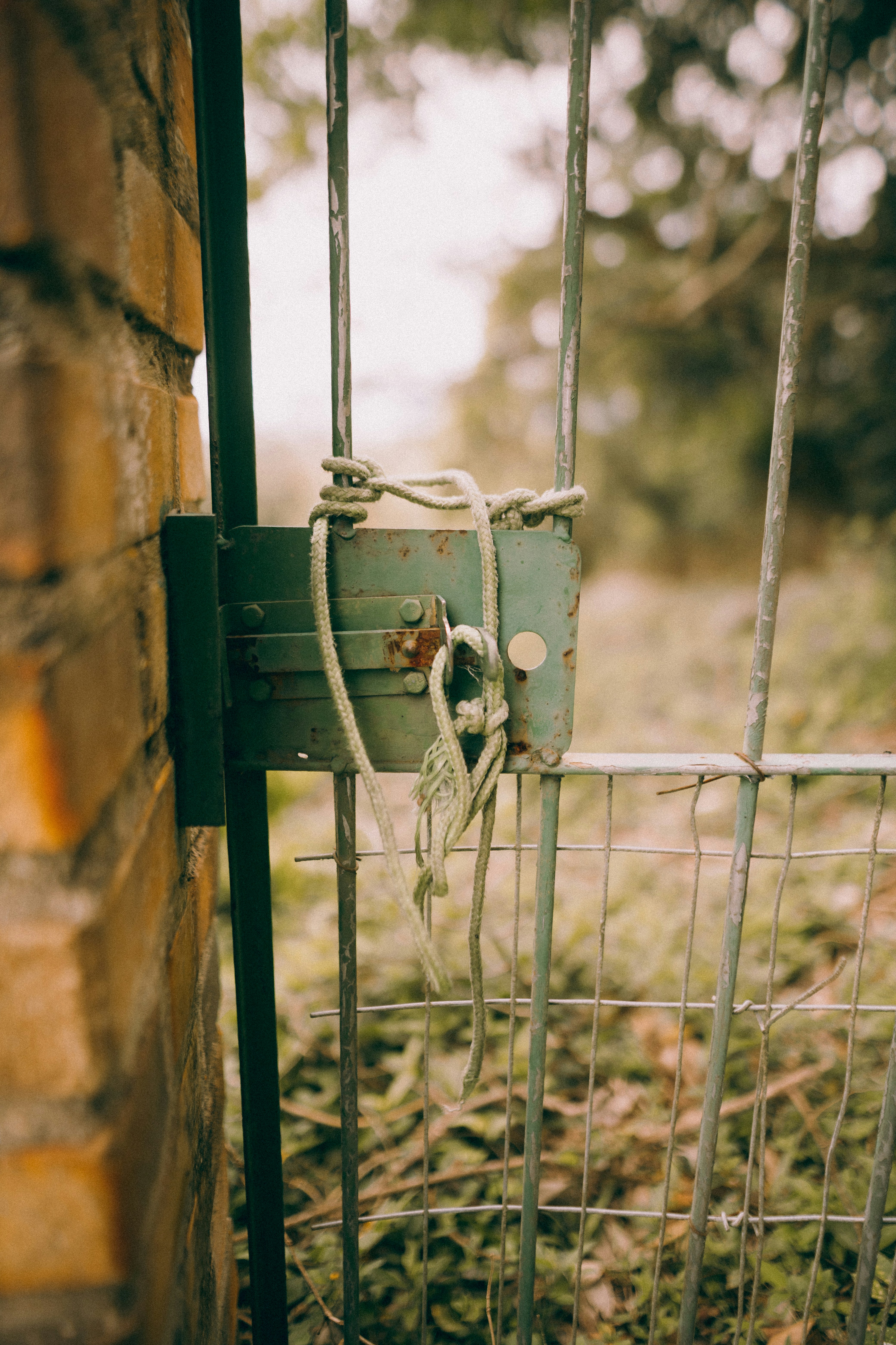 Photo by alexandermassph