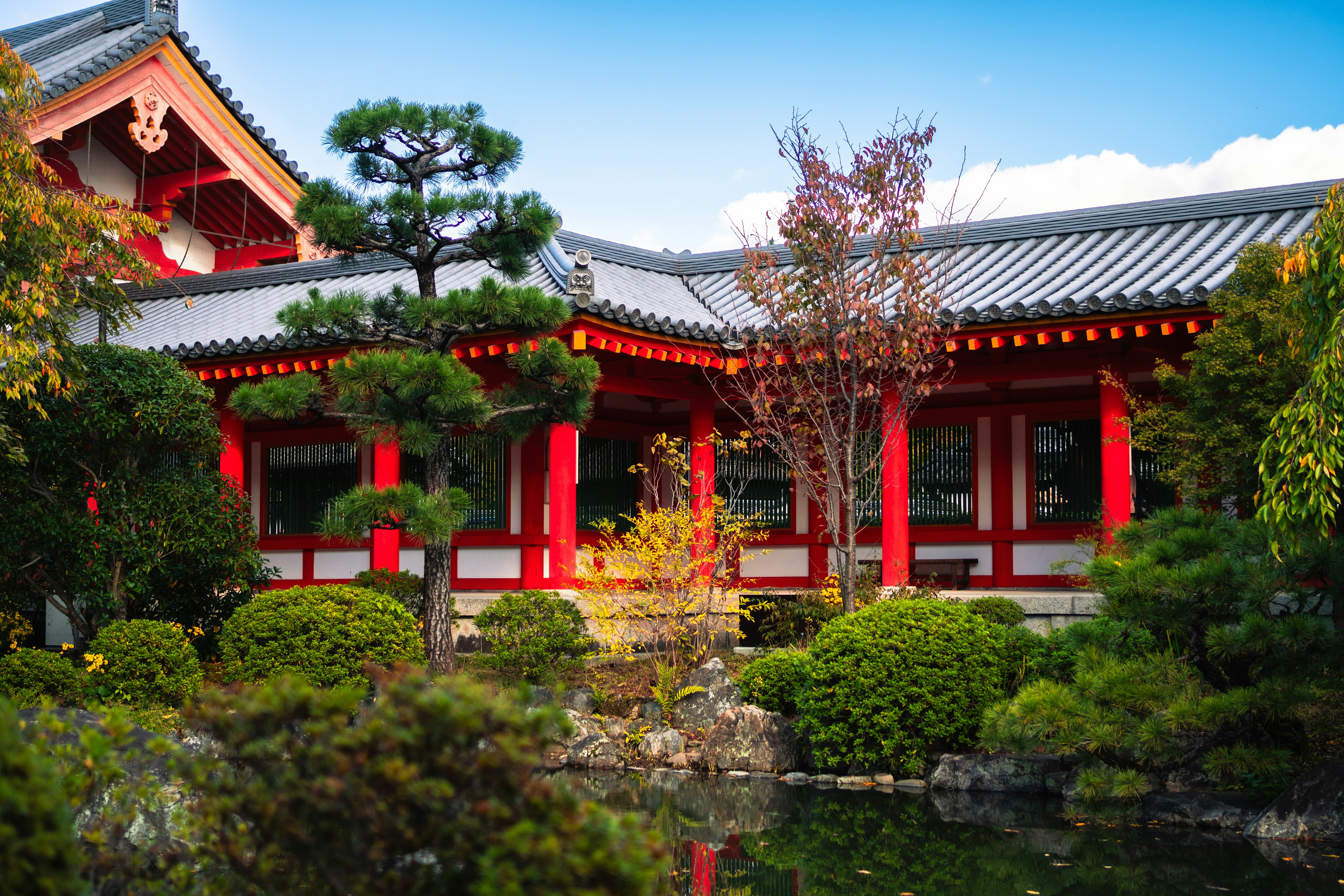 Photo by ivannavinni