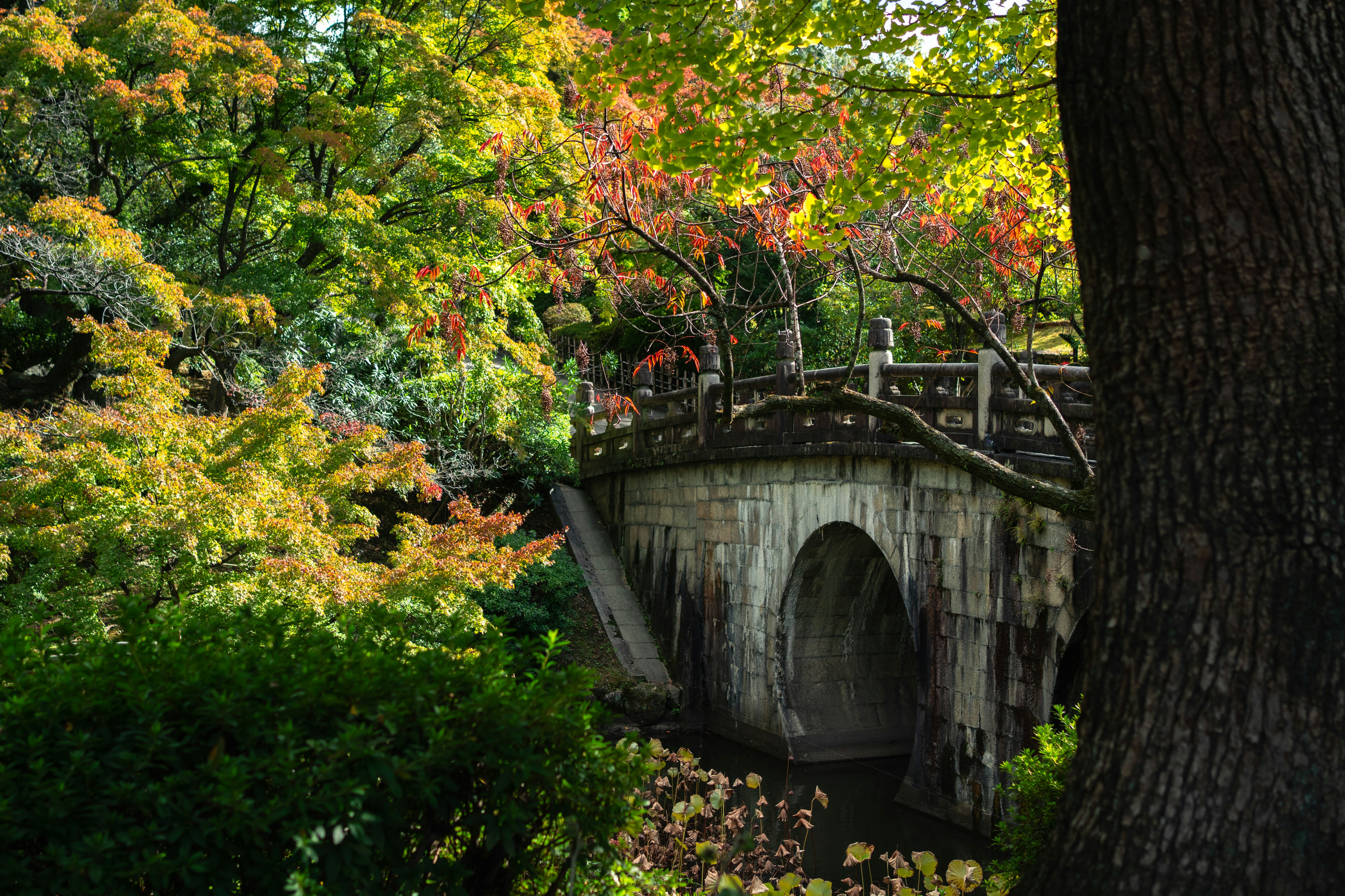 Photo by ivannavinni