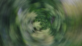 A blurry photo of a green circular object